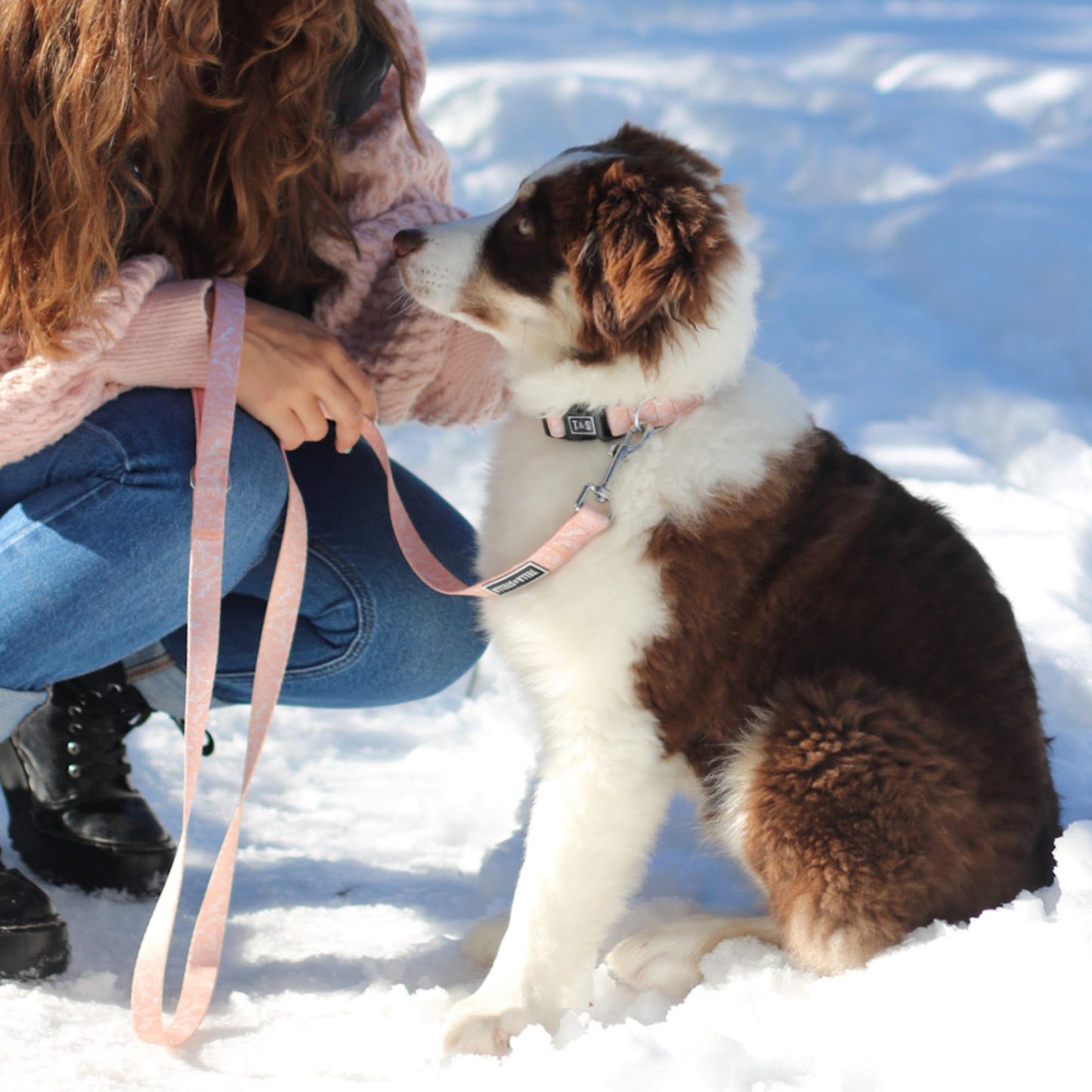 Tella & Stella - Adjustable Nylon Dog Collar & Leash Set for Small Dogs - 5 ft by 5/8″ Leash, 9" to 12.5" Collar - Lined with Neoprene - Heavy Duty Rotating Carabiner Clip - Puppy Collar (Althea,S)