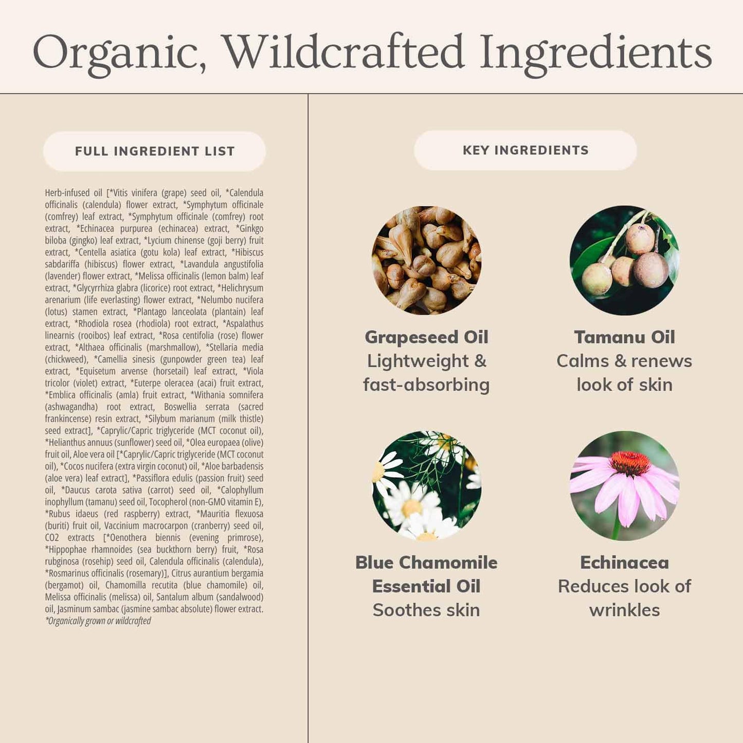 Annmarie Skin Care Herbal Facial Oil for Normal and Combination Skin