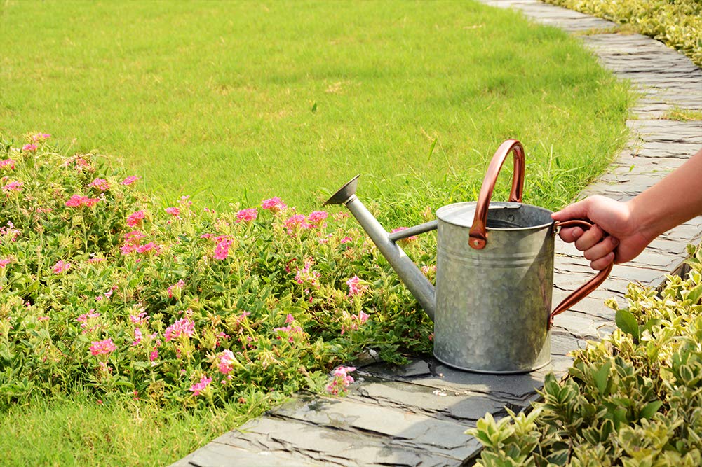 yourjoy Metal Watering Can, One Gallon Watering Cans Stainless Steel for Outdoor Indoor Garden Plants Watering (Silver)