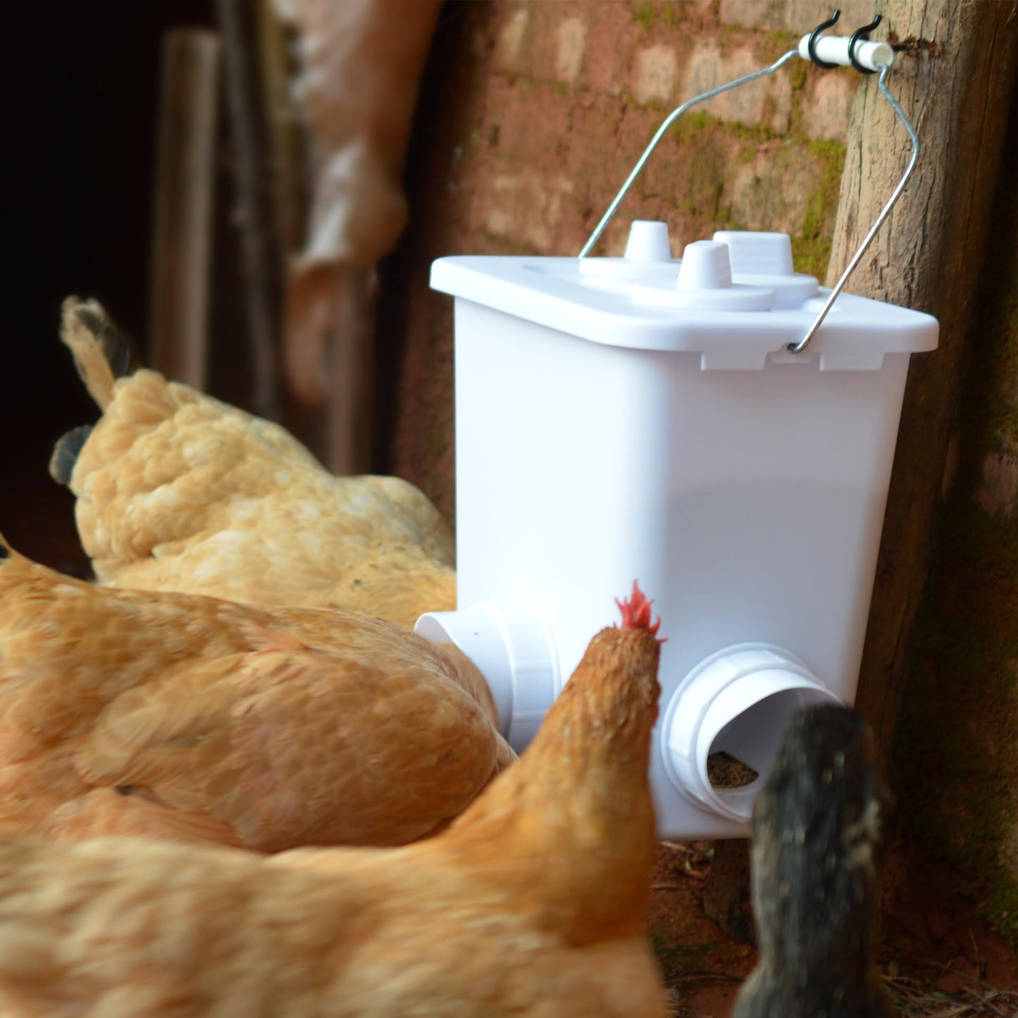 Automatic Chicken Feeder and Waterer Set Hanging Chicken Feeder No Waste Poultry Feeder 3 Gallon Water Feeder