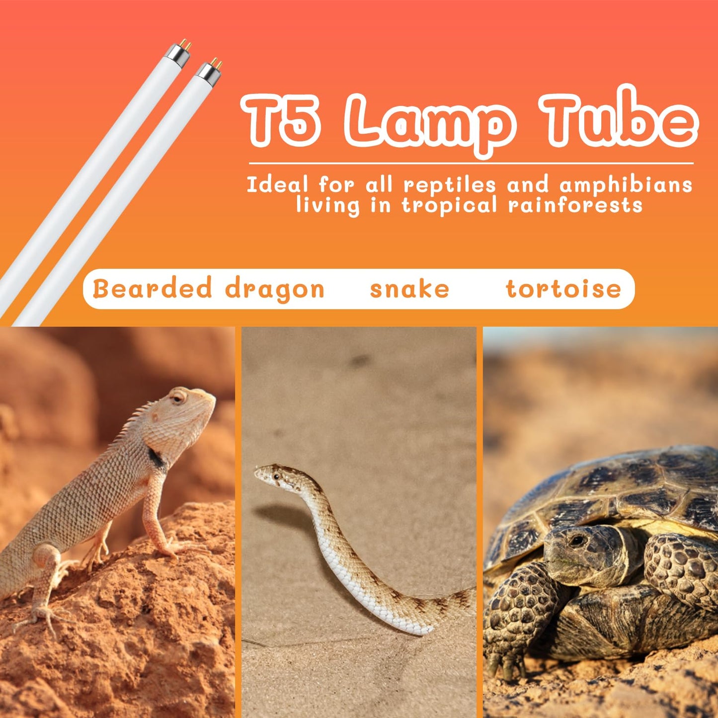 REPTI HOME 2PCS T5 UVB Reptile Light 8W 10.0,UVA UVB Light Bulb for Reptiles,Reptile UVB Lamp Tube for Bearded Dragon,12 Inchs