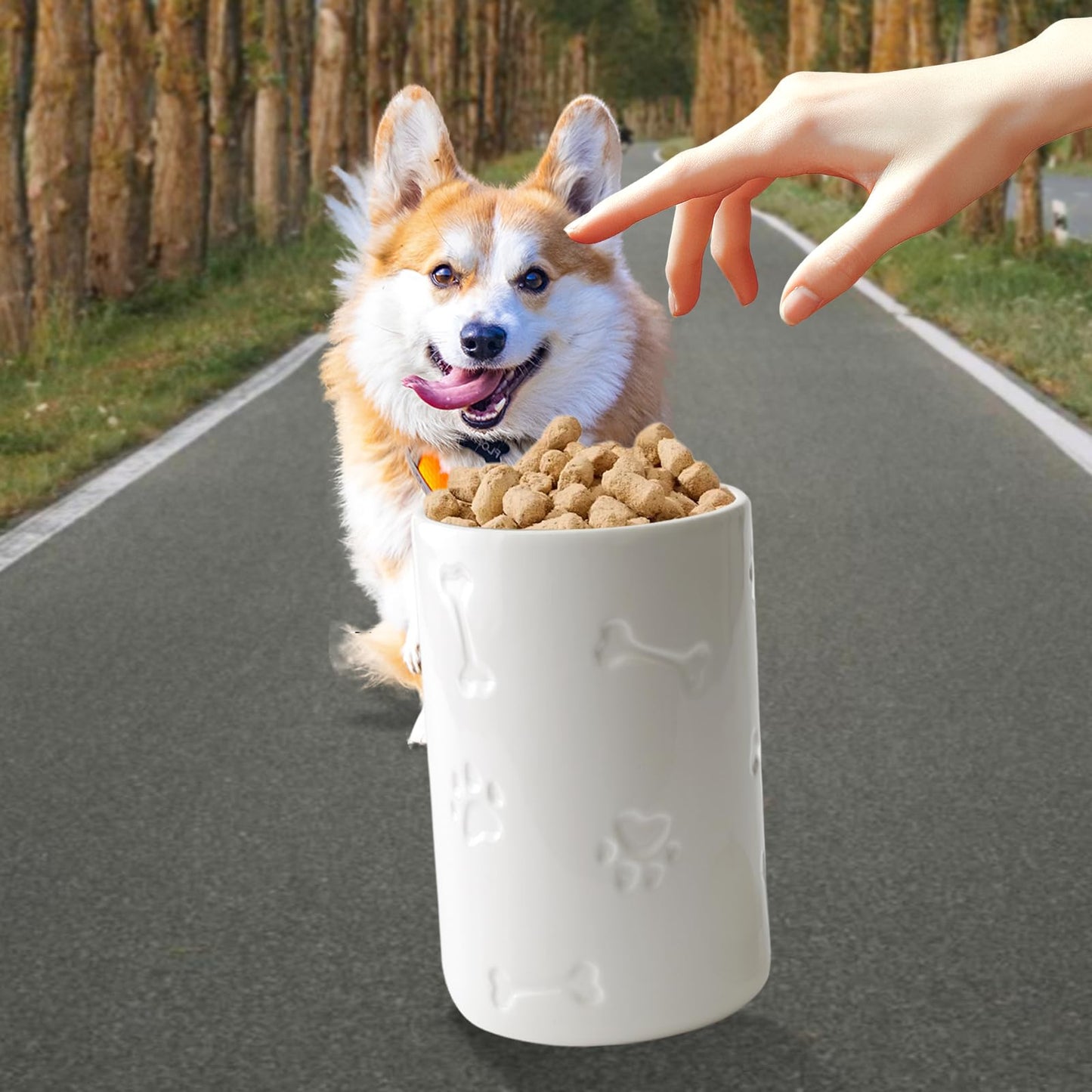 NIXBYO Ceramics Dog Food Storage Container, 5" Round x 9" Tall Cat Dog Pet Treat Jar, with Rubber Sealing Ring Cup Lid and Bone Handle,White for Small, Medium and Large Dogs Cookie Jar