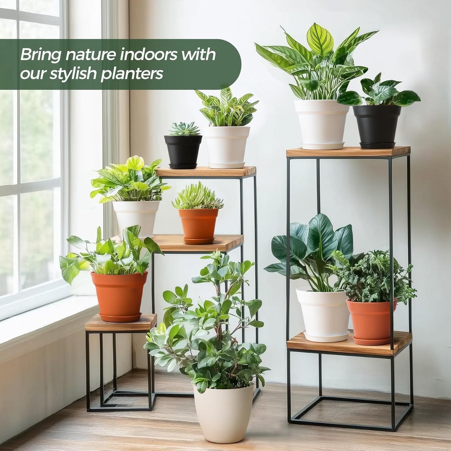 T4U 6 Inch Flower Pots 10-Pack - Small Plastic Planter with Drainage Hole and Saucer, Decorative Nursery Plant Pot Bulk for African Violet, Snake Plant, Aloe and All House Plants Indoor (White)