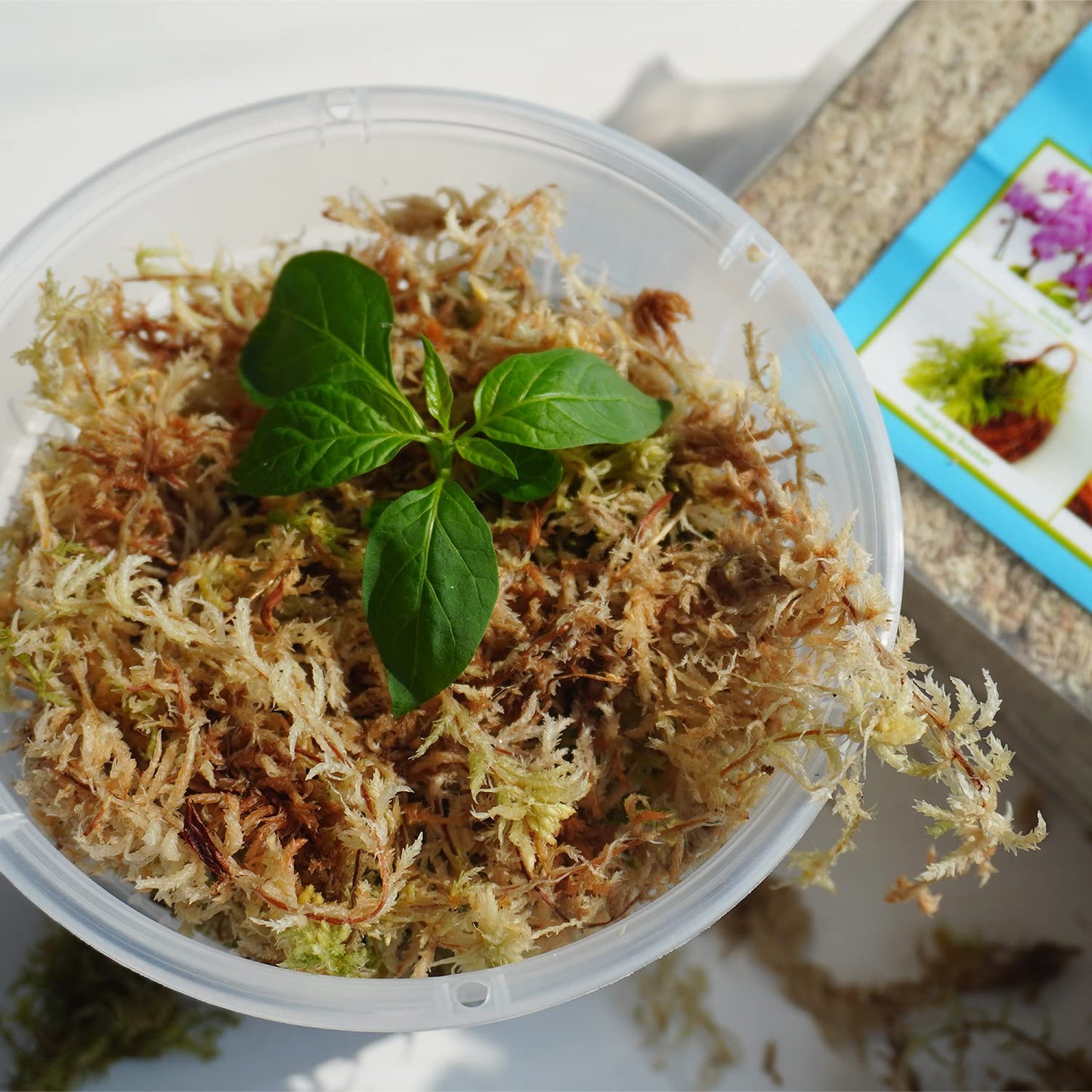 Kapecute Sphagnum Moss 1.2 lb Perfect for Plant Propagation, Great Orchid Potting Mix, Help with Maintain Humidity
