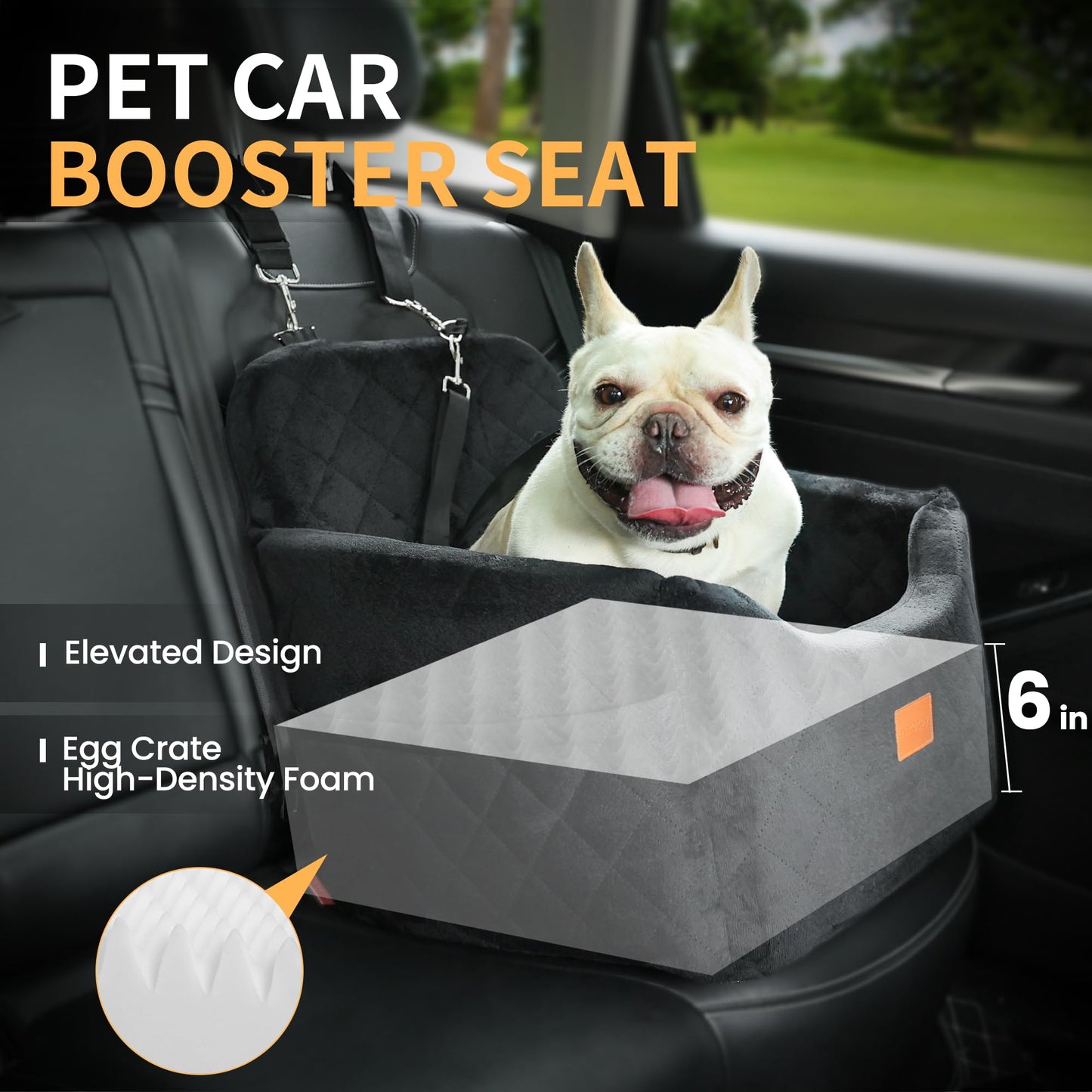 Dog Car Seat for Small Dog, Booster Seat for Dogs Under 30lb, Elevated Pet Seat with Pockets, Anti-Slip Bed for Car, Perfect for Front & Back Seats with Safety Leash (Black, Medium)