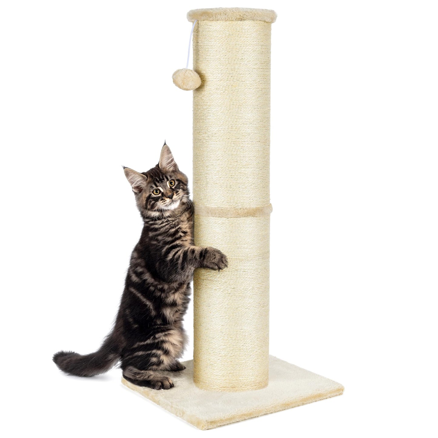 PAWSCRAT Cat Scratching Post 32 Inch High, 5.5 Inch Large Diameter Natural Sisal Cat Scratch Post, Scratch-Resistant and Durable Tall Cat Scratcher for Indoor Cats