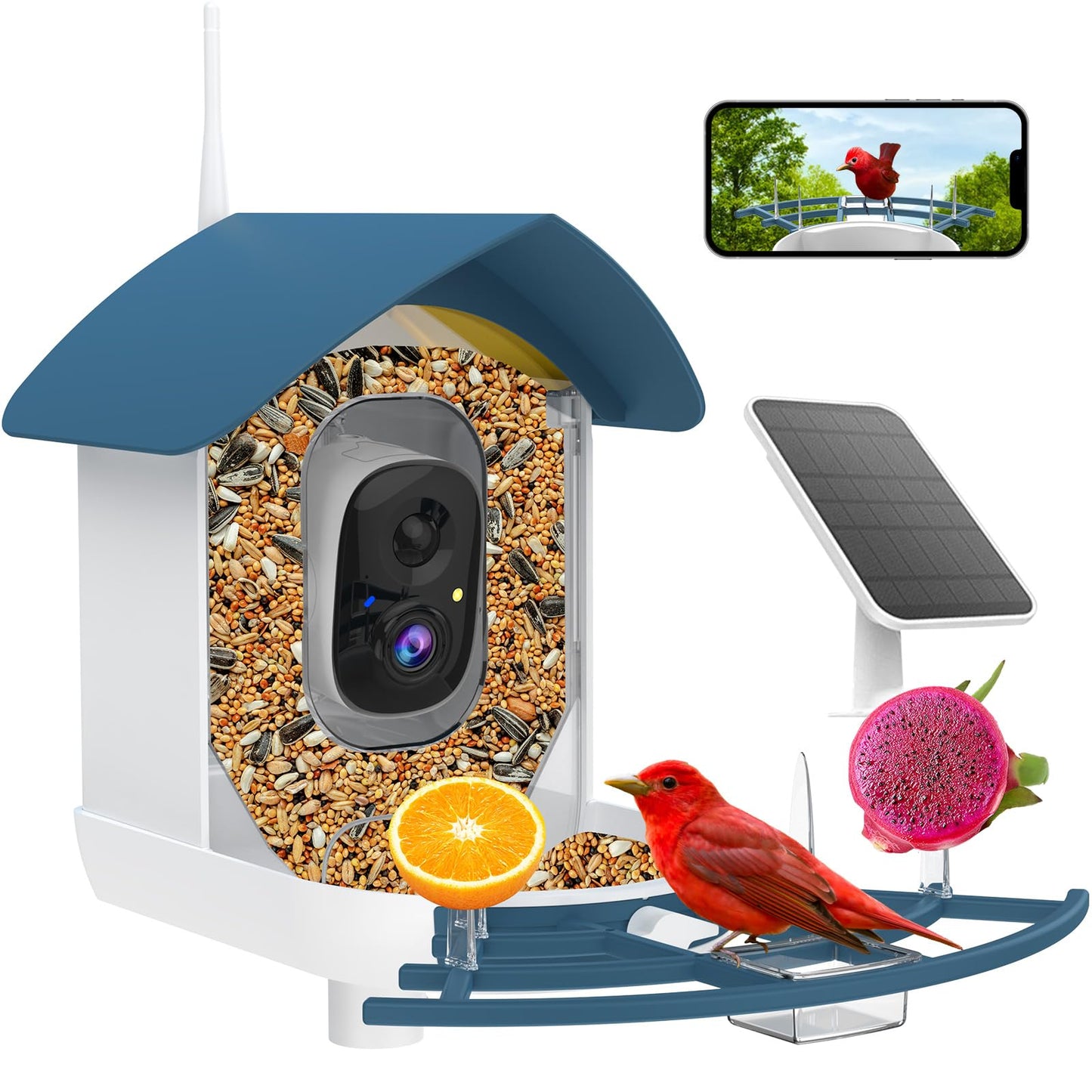 Bird Feeder with Camera,AI Identify Birds Species,Smart Bird Camera with Solar Powered,Auto Record FHD Bird Video in Backyard,Lawn,Instant Notifications,Ideal Gift for Family and Bird Lovers,Navy Blue