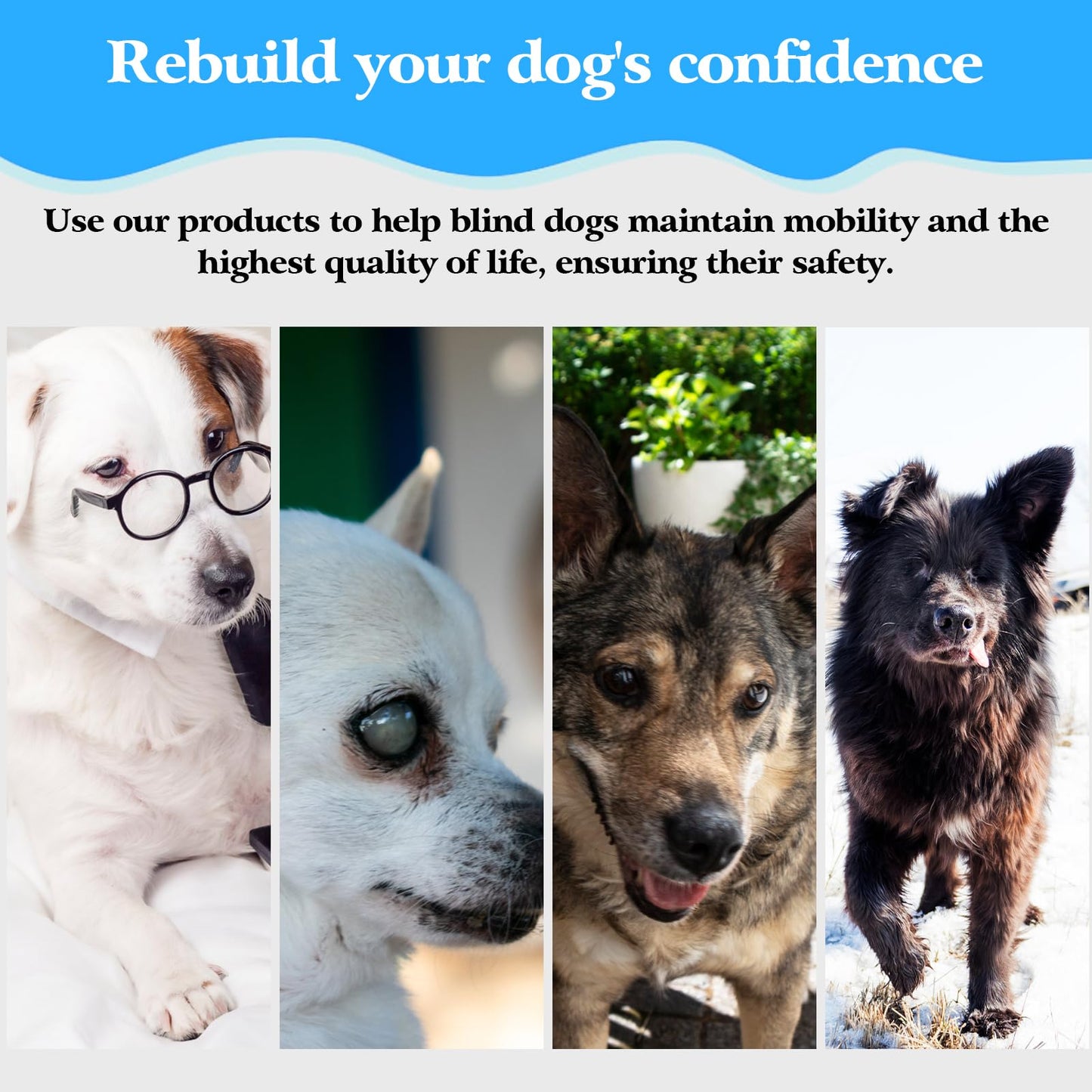 Blind Dog Harness, Lightweight Guiding Device for Collision Avoidance with Reflective Design for Small to Medium Dogs 8.8-22.0lbs Anti-Collision Halo Ring