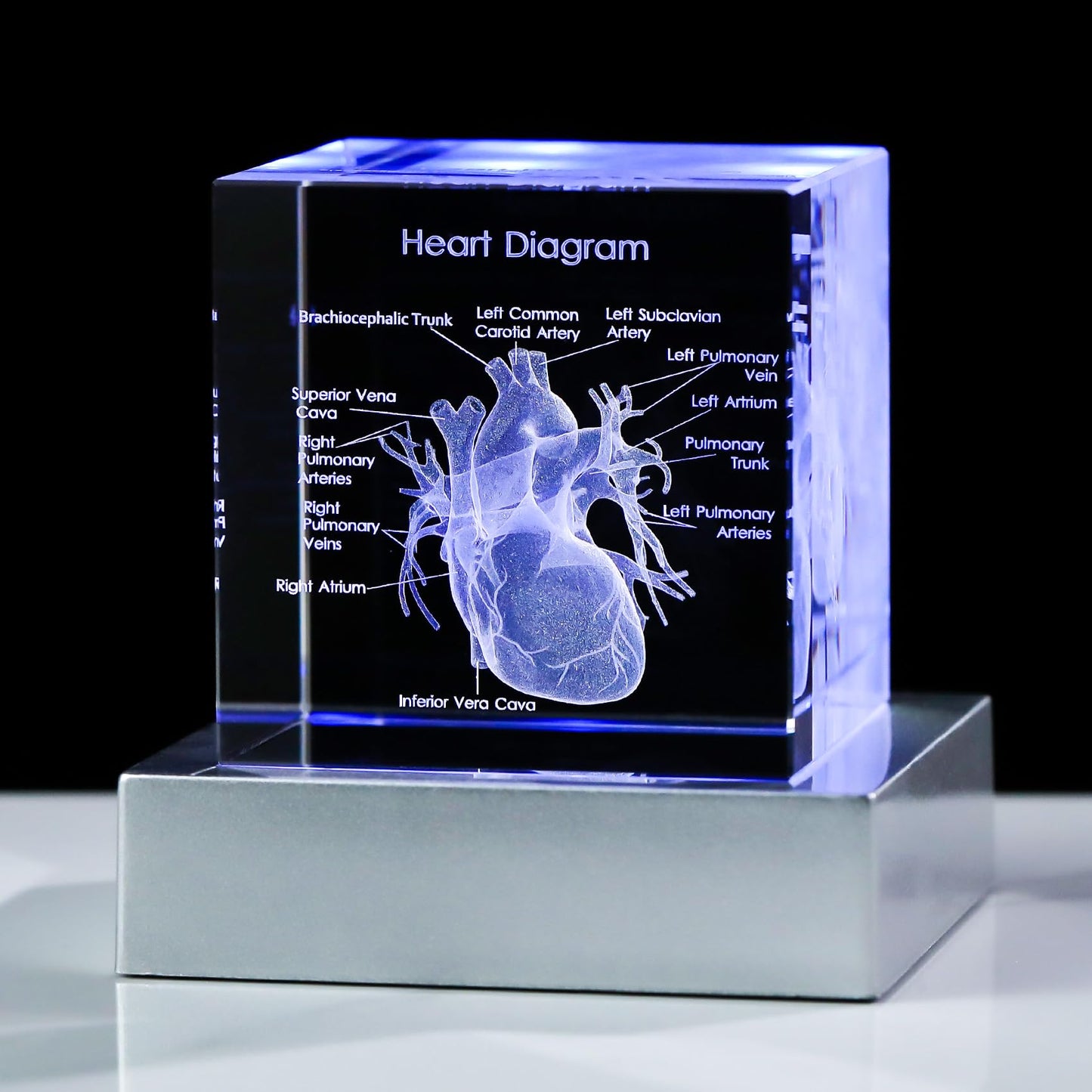 Movdyka 3D Human Heart Model Doctor Gifts for Men 3D Laser Etched Crystal Anatomical Heart Figurine Glass Paperweight Science Biology Medial Surgeon Gifts with Colorful LED Base