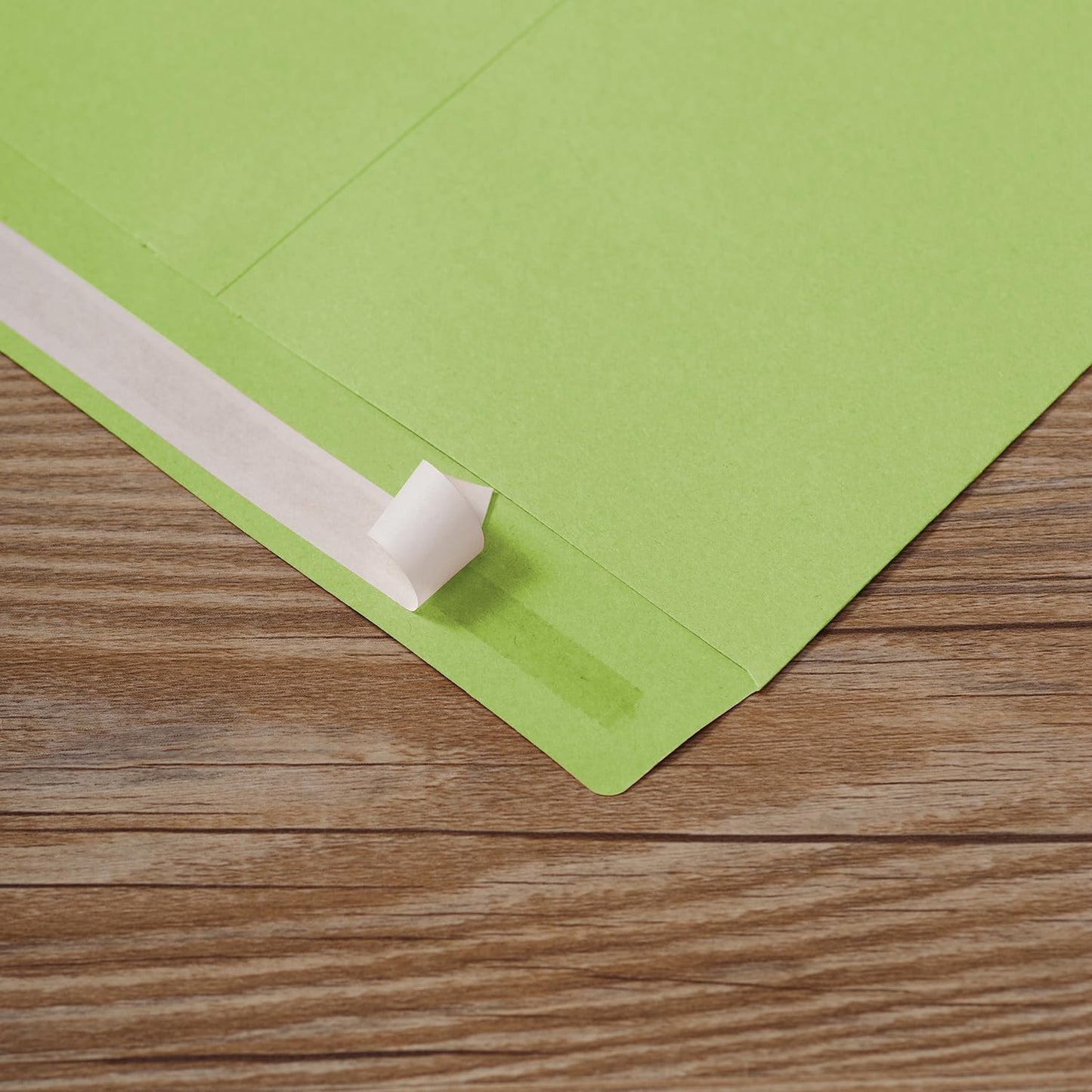 Tanshuqin 9" x 12.75" Light Green Self-Seal Catalog Envelopes Recycled Envelopes for Invitation Cards, Organizing and Storage, Pictures, Photos, Documents (100 PCS)