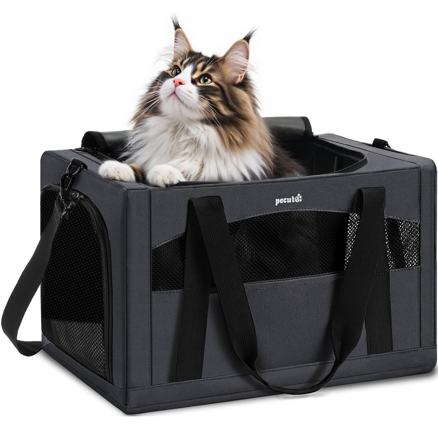 Pecute Cat Carrier Dog Carrier with Stable Structure,Breathable Mesh Fabric Pet Carrier for for Small Cats Dogs Puppies up to 7KG,Soft-Sided Dog Carrier Suitable for Both Long and Short Trips,Black,XL