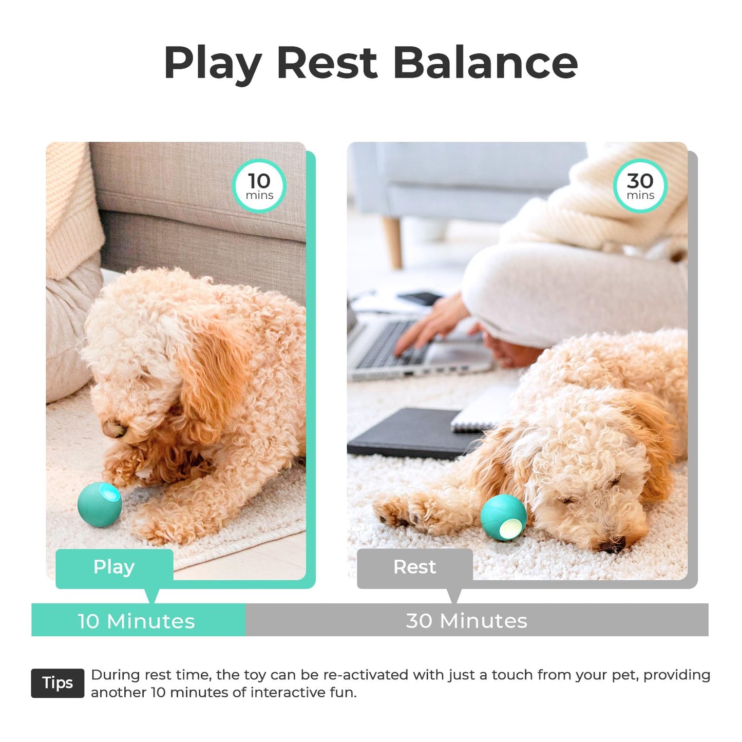 Cheerble Smart Interactive Dog Toys,[Enhanced Rubber] Wicked Ball SE with 3 Interactive Modes,Active Rolling Dog Toy with LED Lights,DC Rechargeable,Self Moving Bouncing Rotating Ball (Small Dog)