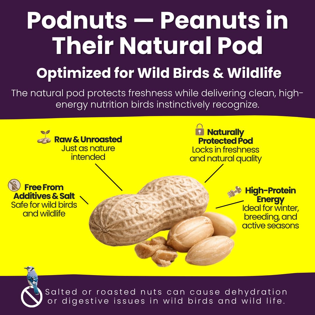 Chirp & Maple, Podnuts - Unsalted Peanuts in Shell for Wild Birds and Wildlife, Raw Unroasted, Premium Wild Bird Food 3.7KG Bag