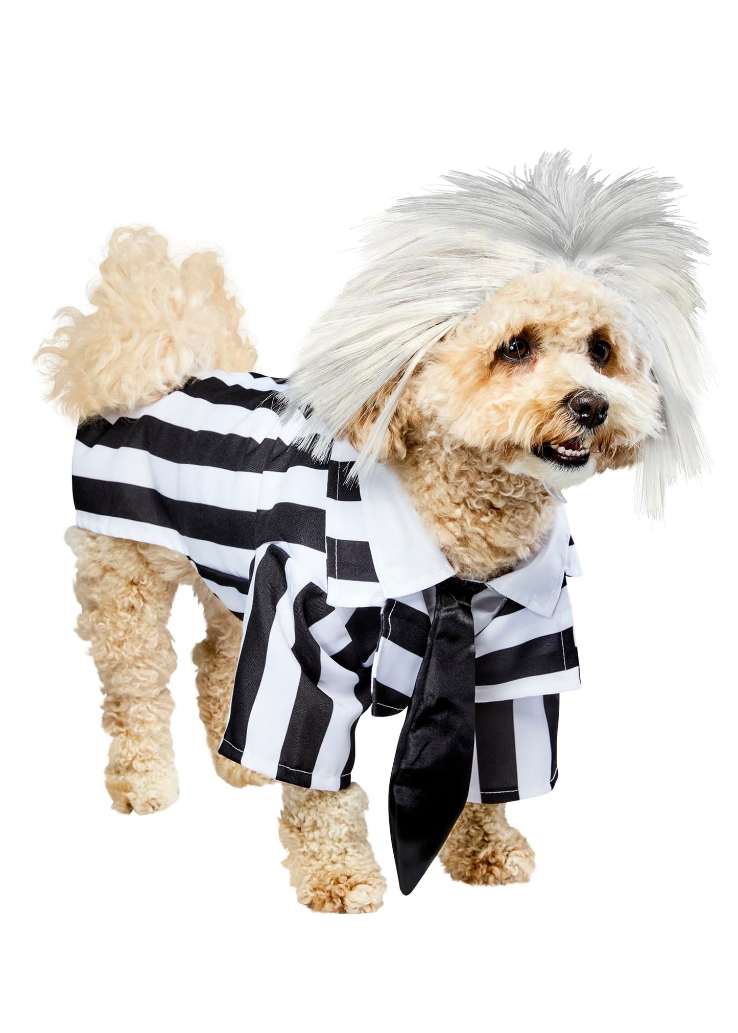 Rubies Costume Co Beetlejuice Pet Costume, Small