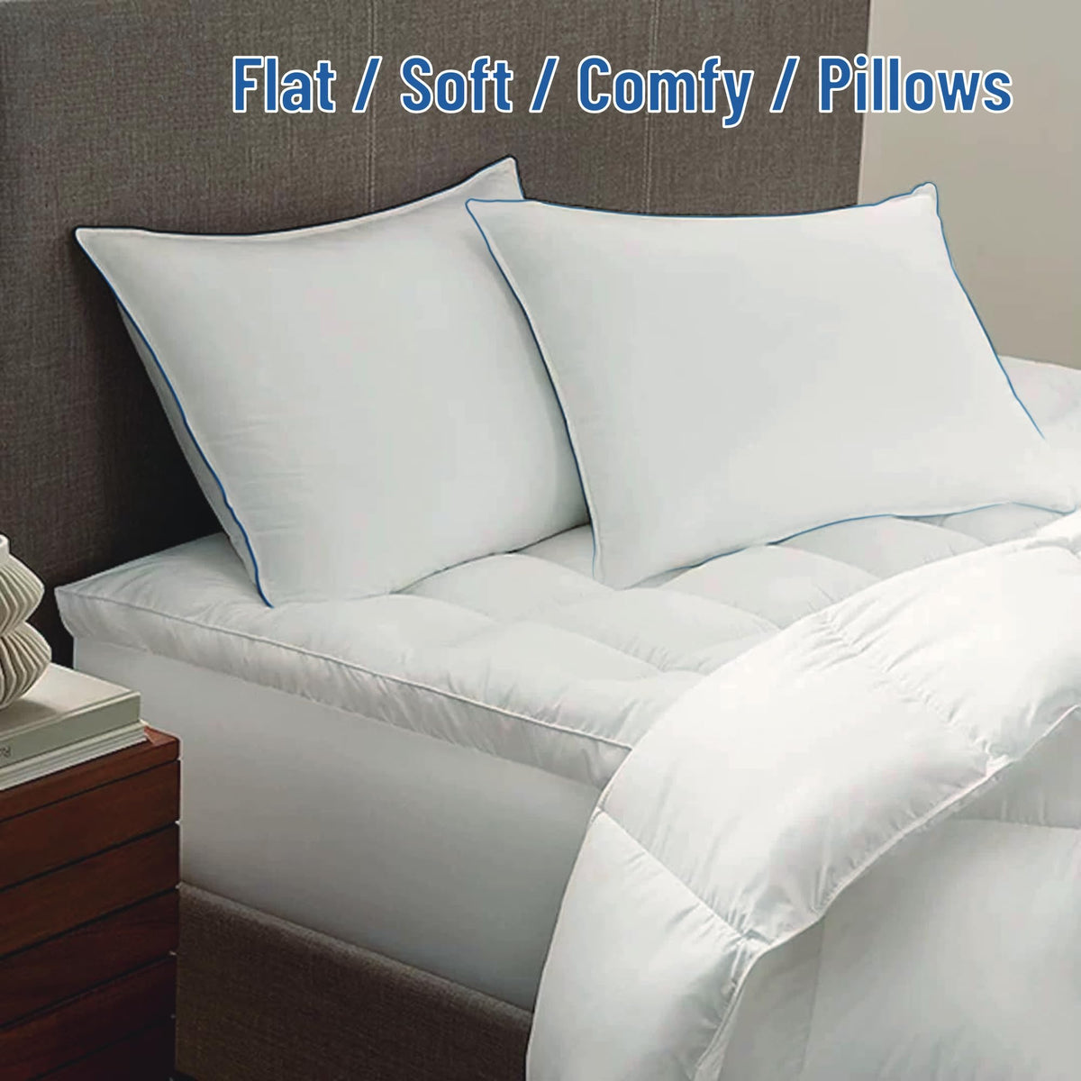 SILUI Flat Soft Thin Pillows Queen Size Set of 2 Pack Bed Pillow with Down Alternative Fill for Side Back Stomach Sleepers, 20x30 Inches, White
