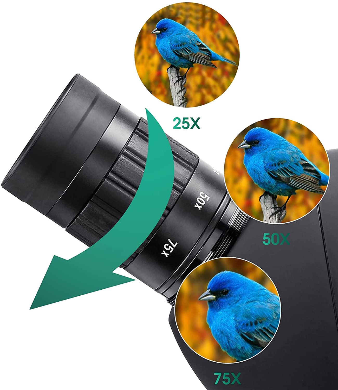 SVBONY SV28 Spotting Scopes with Tripod, Angled 25-75x70mm Spotter Scope with Phone Adapter, Waterproof Fogproof Spotting Scope for Bird Watching, Target Shooting, Wildlife Viewing, Black