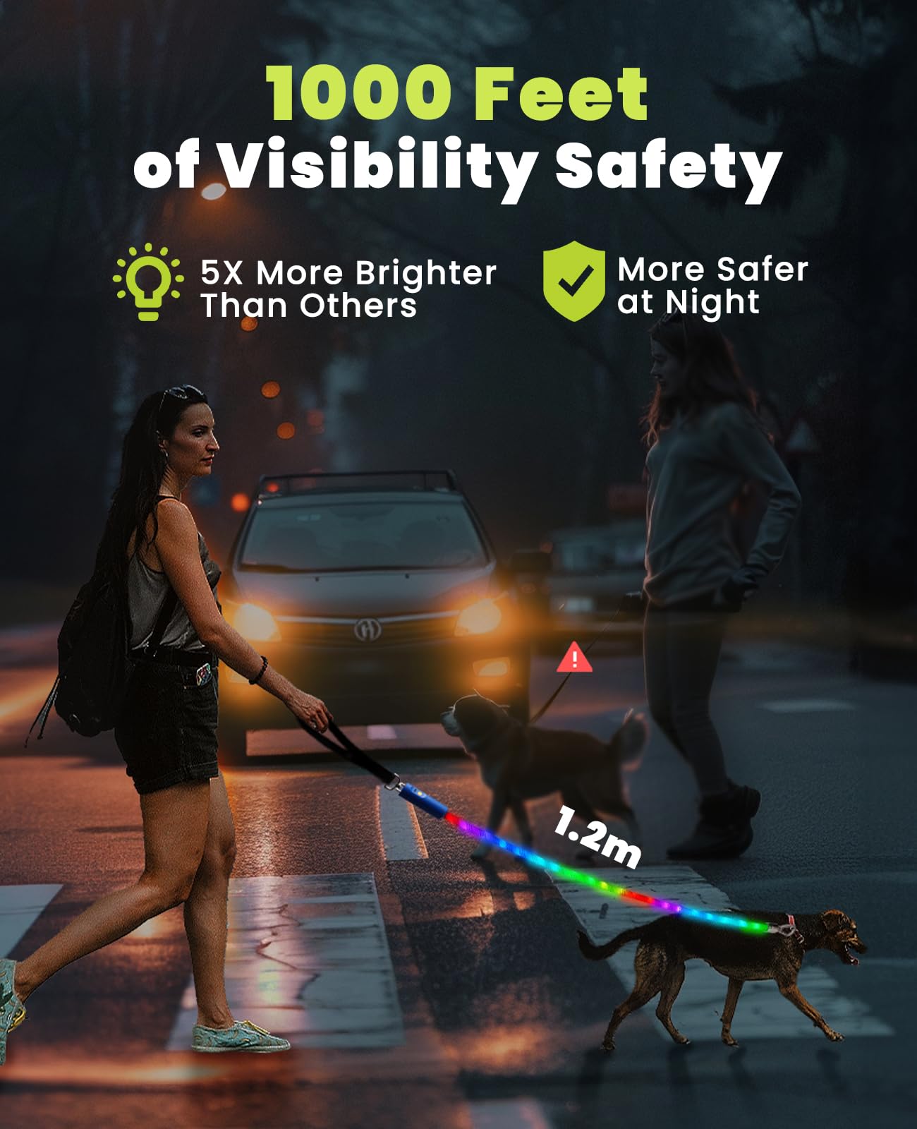 Light Up Dog Leash, LED Pet Leash for Night Walking,13 Lighting Modes, Rechargeable Dog Lights, Glow in The Dark Walking Leashes with Tangle-Free Hook for Small Medium Large Dogs (1.5m)