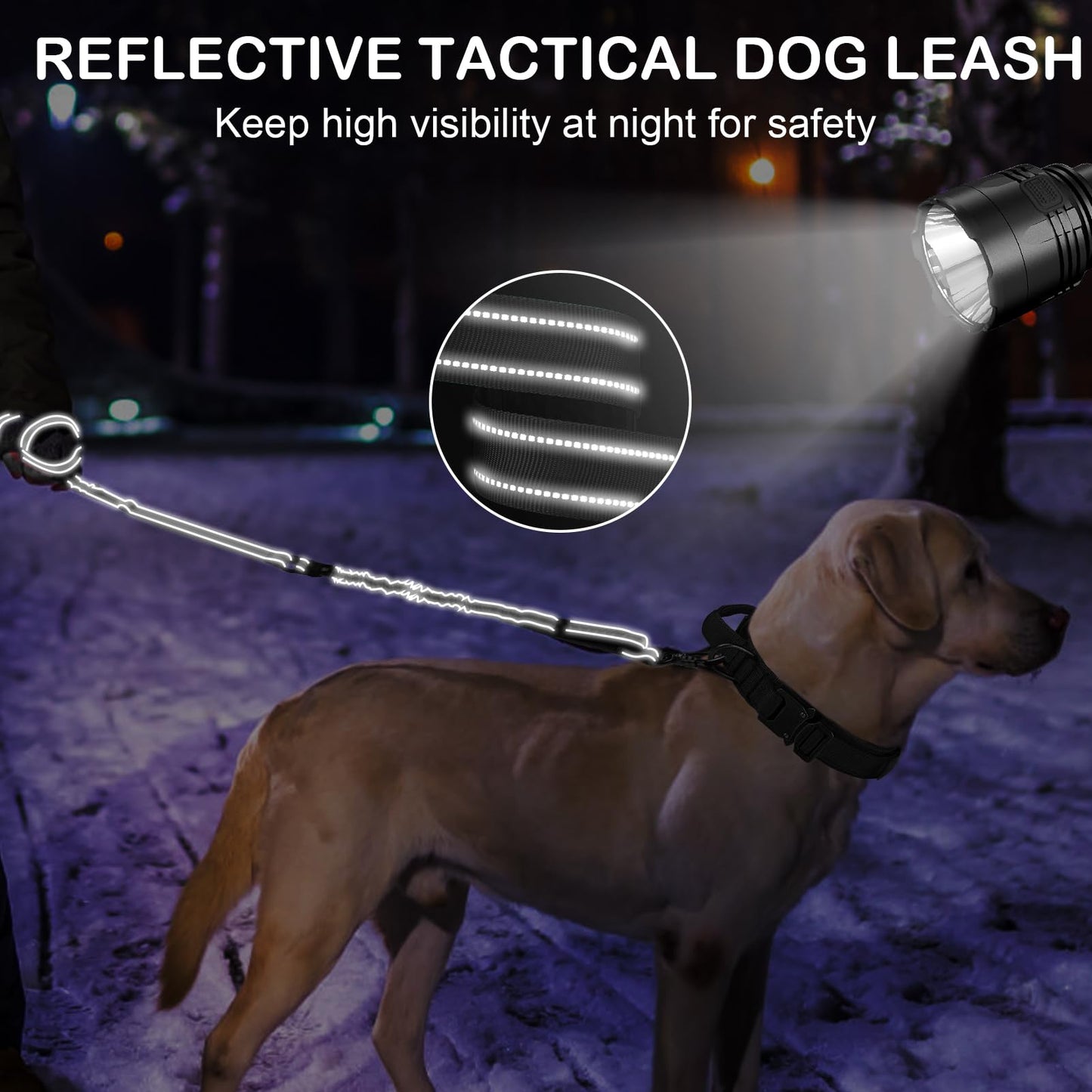 Chioratree Heavy Duty Dog Leash for Medium Large Dogs 2 Pack, Shock Absorbing Bungee Tactical Dog Leash, 4-6FT Strong No Pull Lead with 2 Padded Handle,Car Seatbelt,Light Reflective Rope, Black Purple