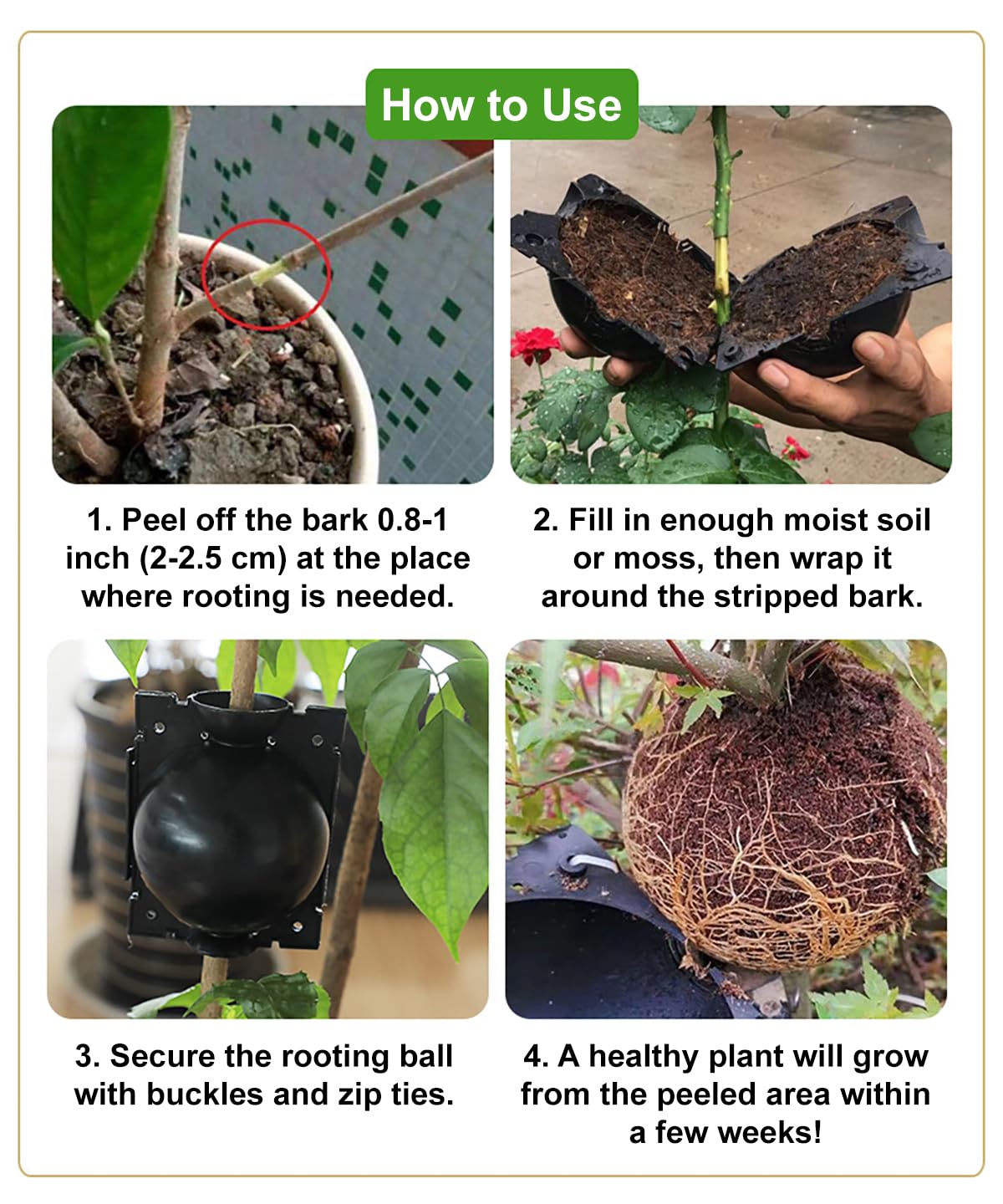 Elsjoy 30 Pack 3 Sizes Plant Root Growing Box with 120 pcs Zip Ties, Air Layering Propagation Ball Kit Reusable Tree Rooting Grafting Tools, Root Propagation Ball Set for Fast Propagation
