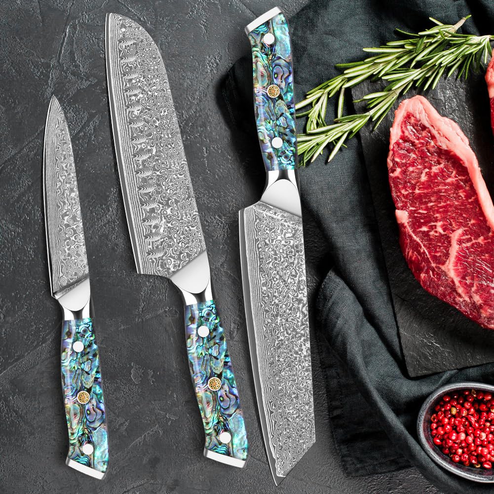Damascus Chef Knives 3 Piece Kitchen Knife Set Damascus Steel Professional Chef's Knife – Razor Sharp Cleaver Set with Ergonomic Natural Resin Handle Cooking Knife