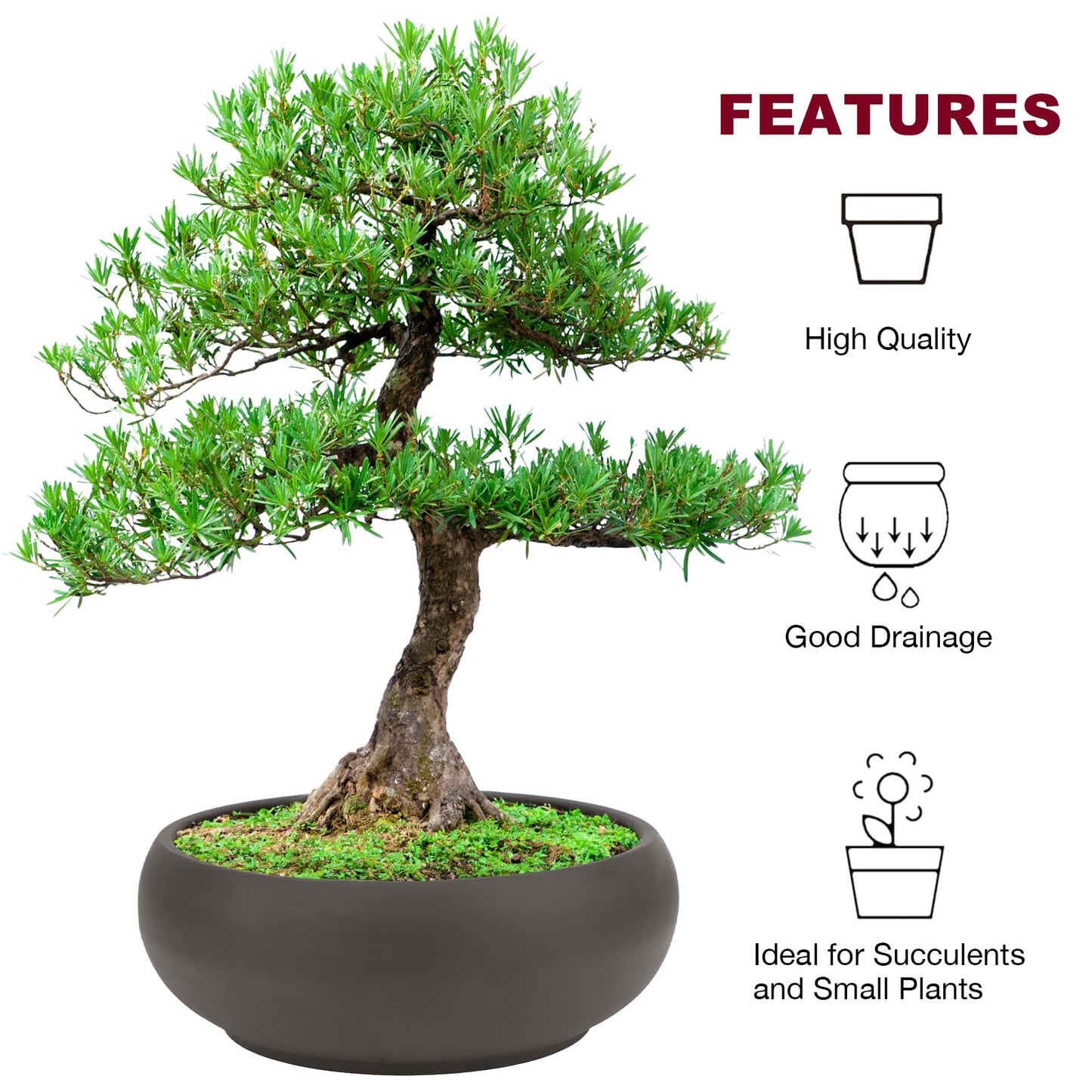 Happy Bonsai Pot 8" (20.5cm) Unglazed Round Ceramic Succulent Planter + Drainage Screen
