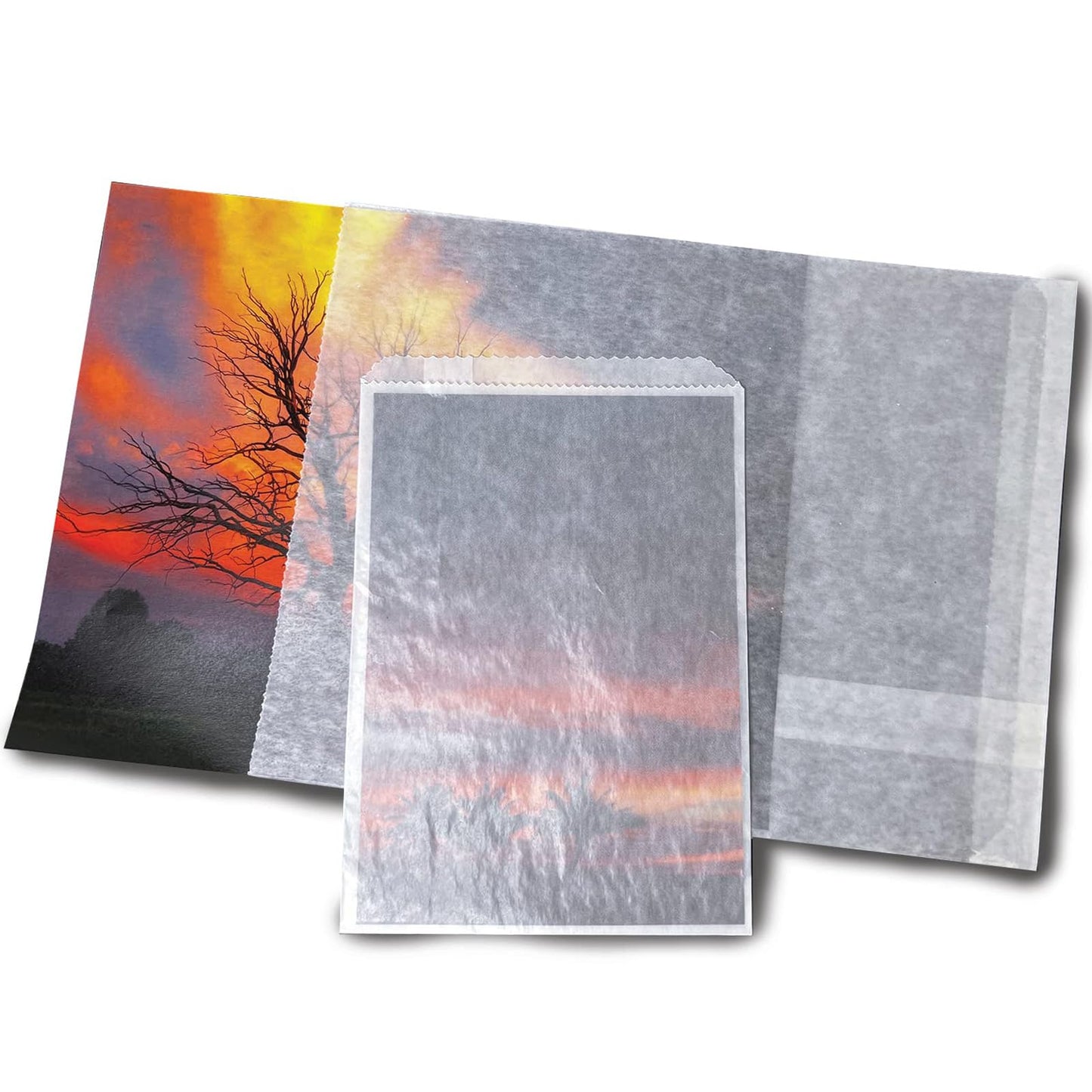 Lineco Glassine Envelopes 8" x 10'', Pack of 100. Envelopes. Protect Photos, Prints, Negatives. Air, Water, Dust, Grease Resistant. Store Stamps, Coins, Scrapbooking, Storage.