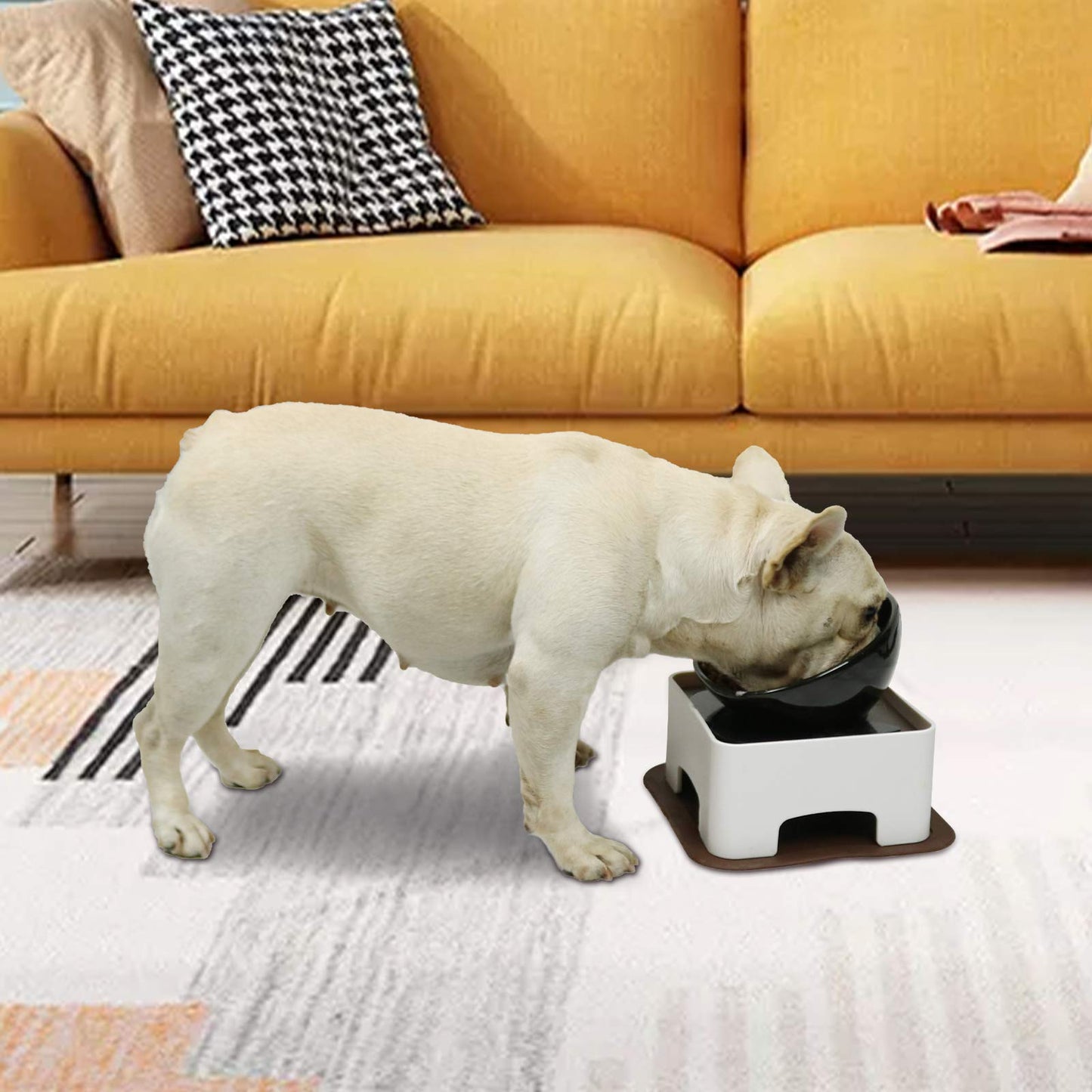 WZ PET Raised Tilted Dog Feeding Bowl,Elevated Ceramic Dog Bowls Set Anti-Slip,Standing Pet Feeding Dish for Small Medium Dogs and Cats,Black