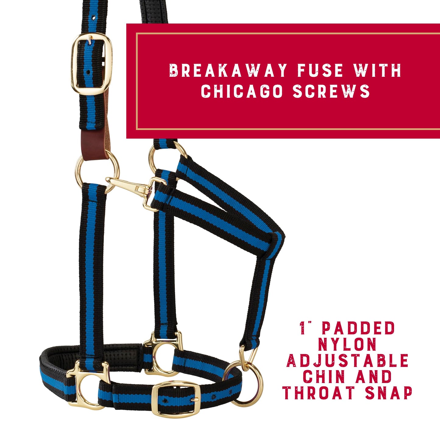 Weaver Equine Breakaway Horse Halter, Comfort Foam Padding, Adjustable Chin & Throat Snap Halters for Horses, Equine Tack,Average Size, Blue