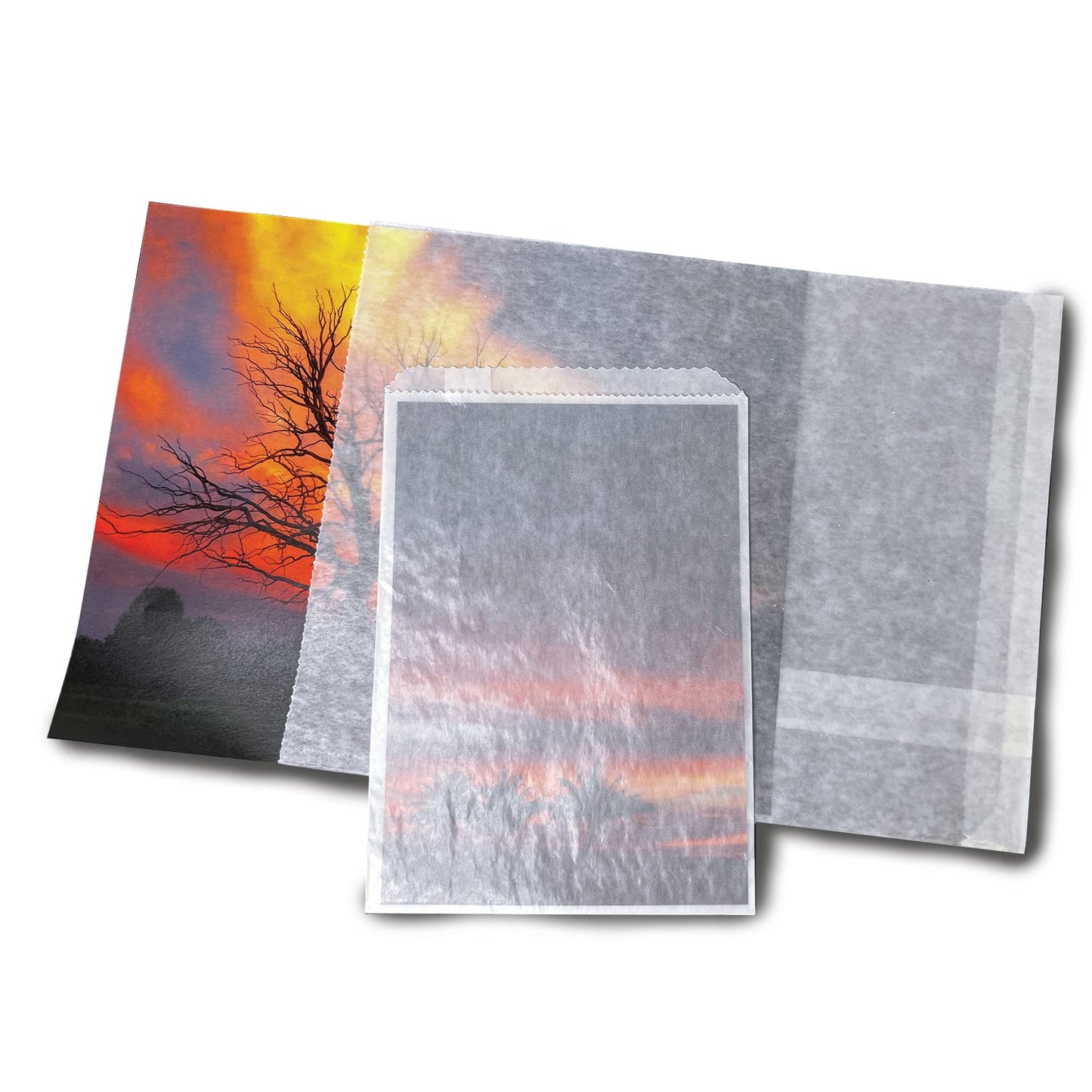 Lineco Glassine Envelopes 8" x 10'', Pack of 100. Envelopes. Protect Photos, Prints, Negatives. Air, Water, Dust, Grease Resistant. Store Stamps, Coins, Scrapbooking, Storage.