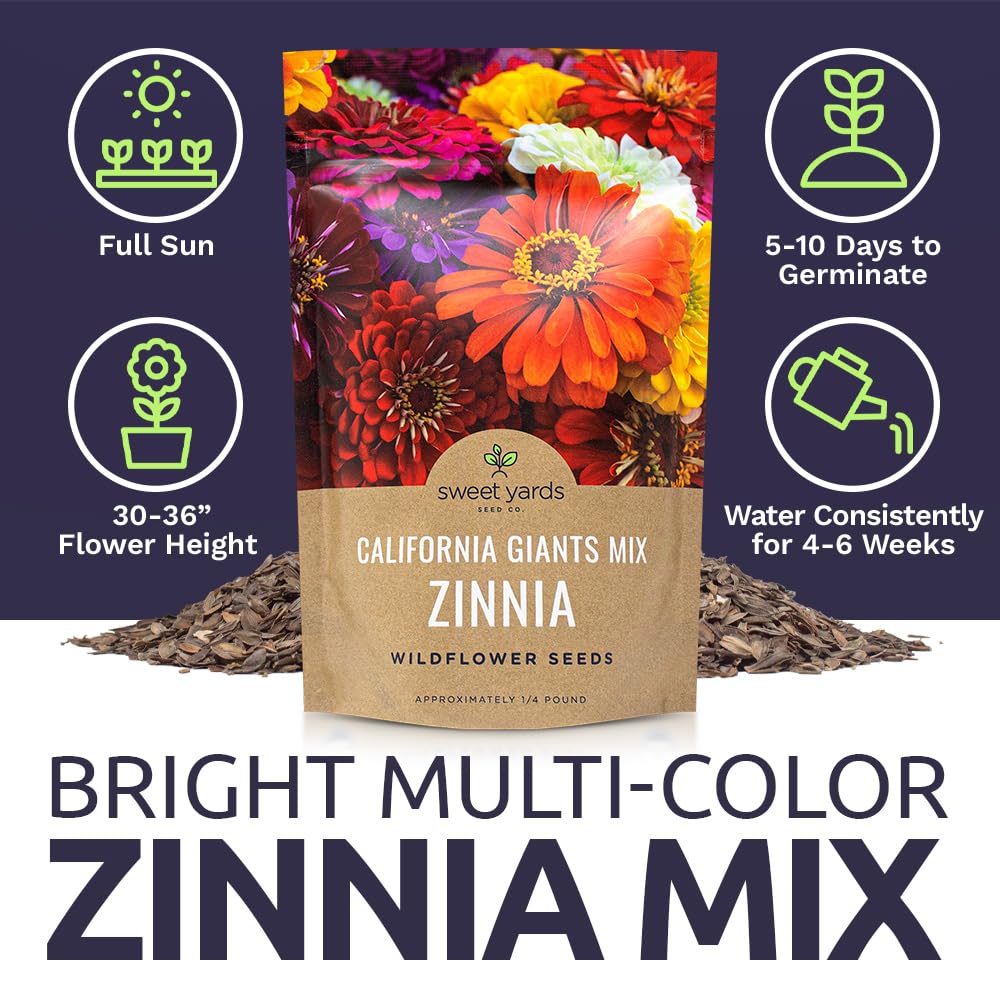 Bulk Zinnia Seeds - California Giants Mix - Bulk 1/4 Pound Bag Over 12,000 Flower Seeds - Mixed Colors and Large Blooms