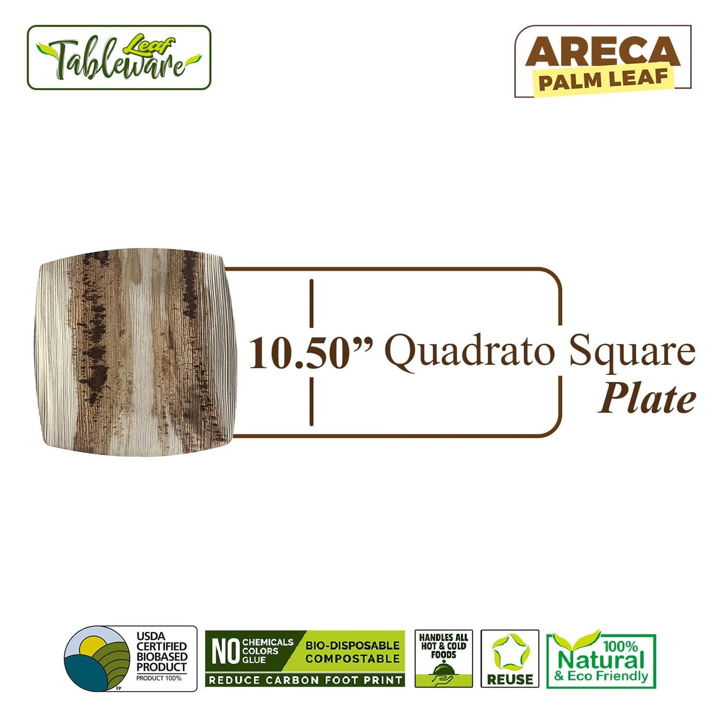 Bio Mart Square Dinnerware Set - Areca Palm Leaf Plates & Cutlery | 10-Inch & 8-Inch Quadrato | 50 Pcs Eco-Friendly Biodegradable & Compostable Dining Kit