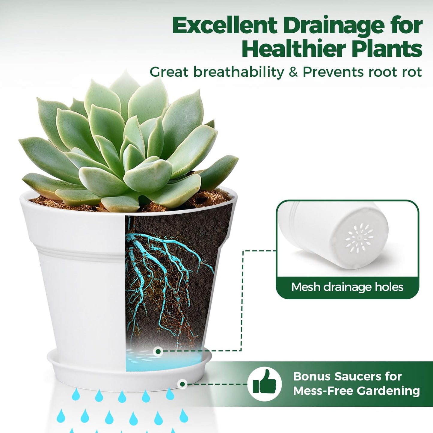 T4U 6 Inch Flower Pots 10-Pack - Small Plastic Planter with Drainage Hole and Saucer, Decorative Nursery Plant Pot Bulk for African Violet, Snake Plant, Aloe and All House Plants Indoor (White)