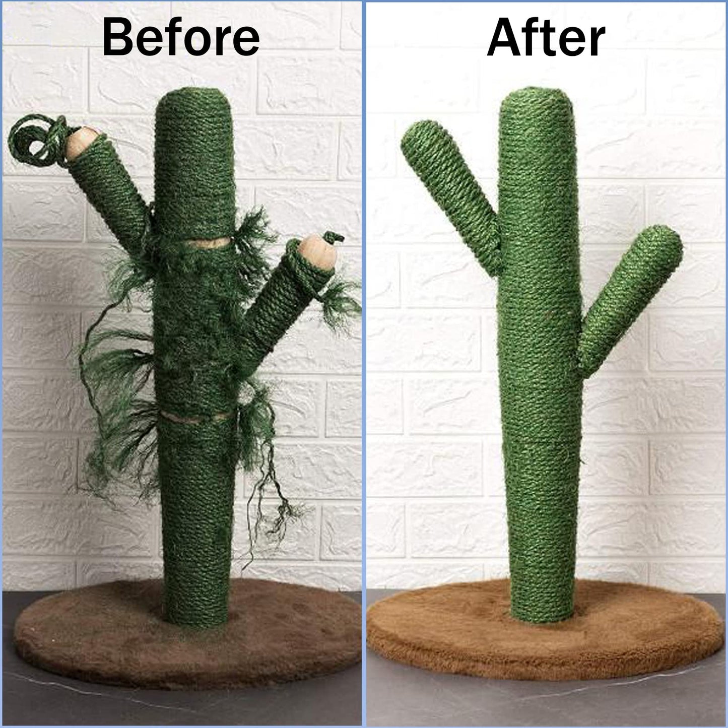 6 mm x 50 m (1/4 in * 164 ft) Sisal Rope for Cat Cactus Scratching Post, Cat Rope for DIY Cactus Cat Tree & Repair Cat Scratcher, Green
