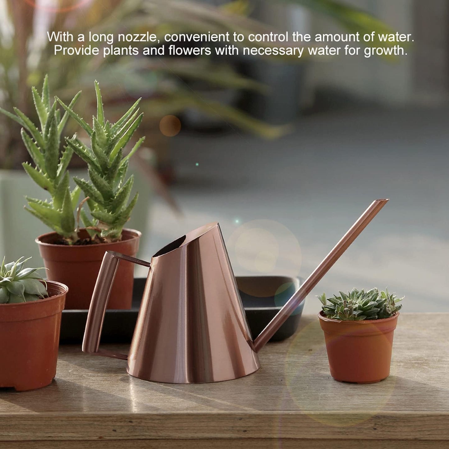 Watering Can Indoor Plants, 50 Oz/1500 Ml Decorative Long Spout Watering Cans for Indoor Plants Stainless Steel Watering Pot for Succulent Bonsai Garden Flower