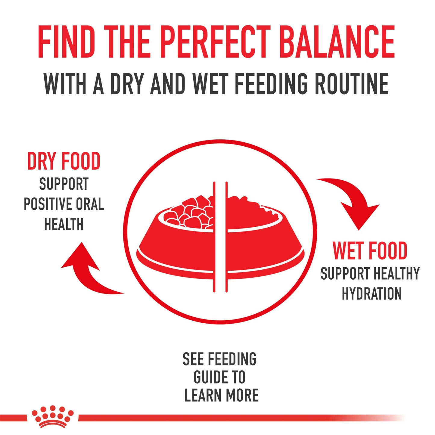 Royal Canin Feline Health Nutrition Adult Instinctive Loaf in Sauce Canned Cat Food (Case 24/1), 3 oz