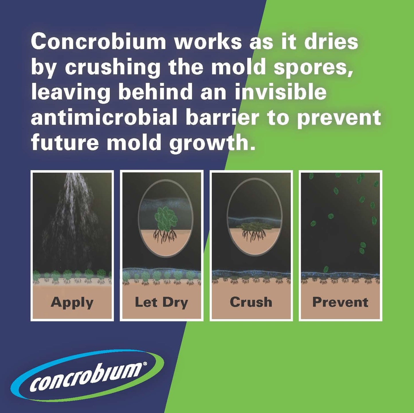 Concrobium 020-004 Mold Control, 3.78L