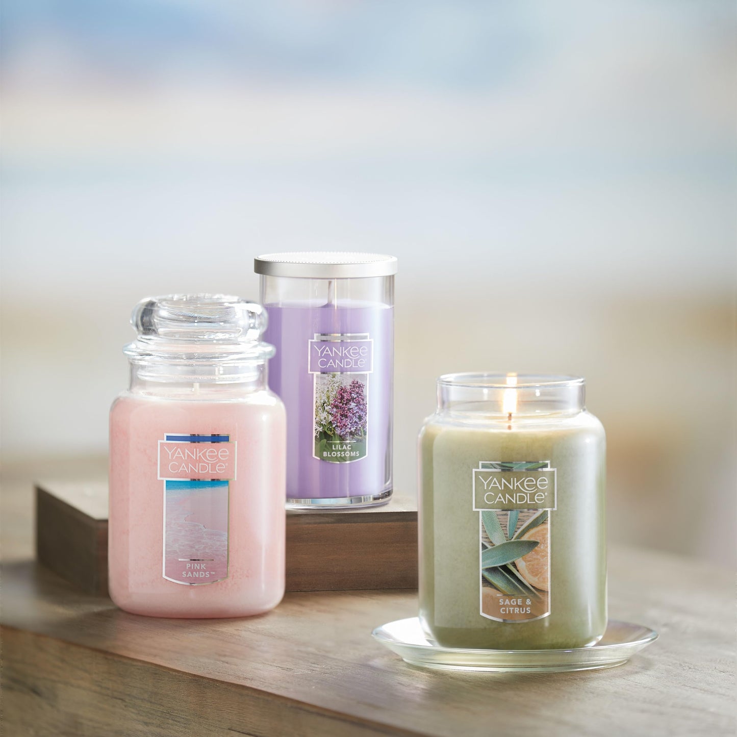 Yankee Candle Scented Candle, Sage & Citrus, Original Large Jar Candle, 110-150 Hours of Burn Time, 22 oz.