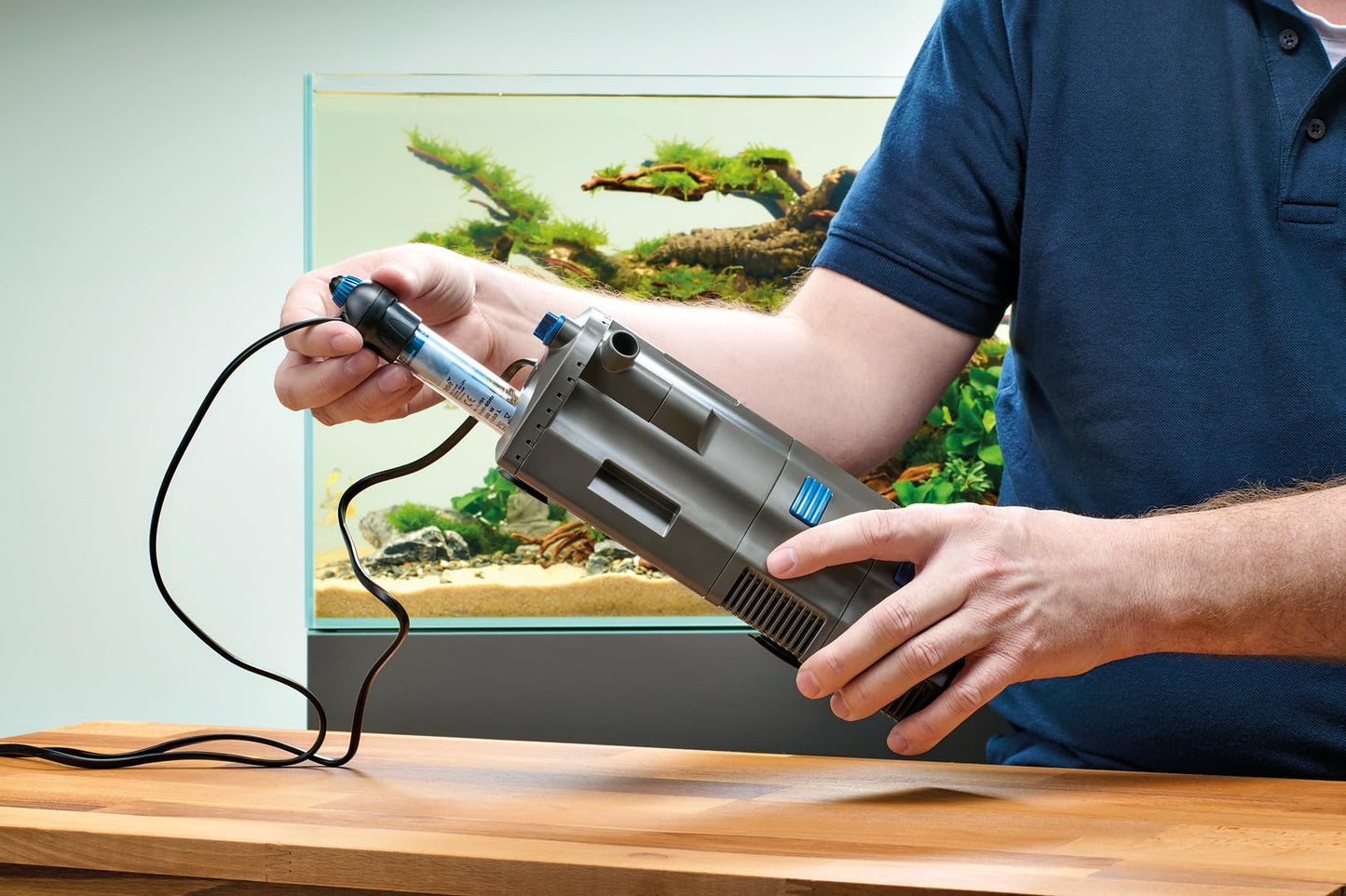 OASE Indoor Aquatics HeatUp 300 Watt Aquarium Heater, Clear