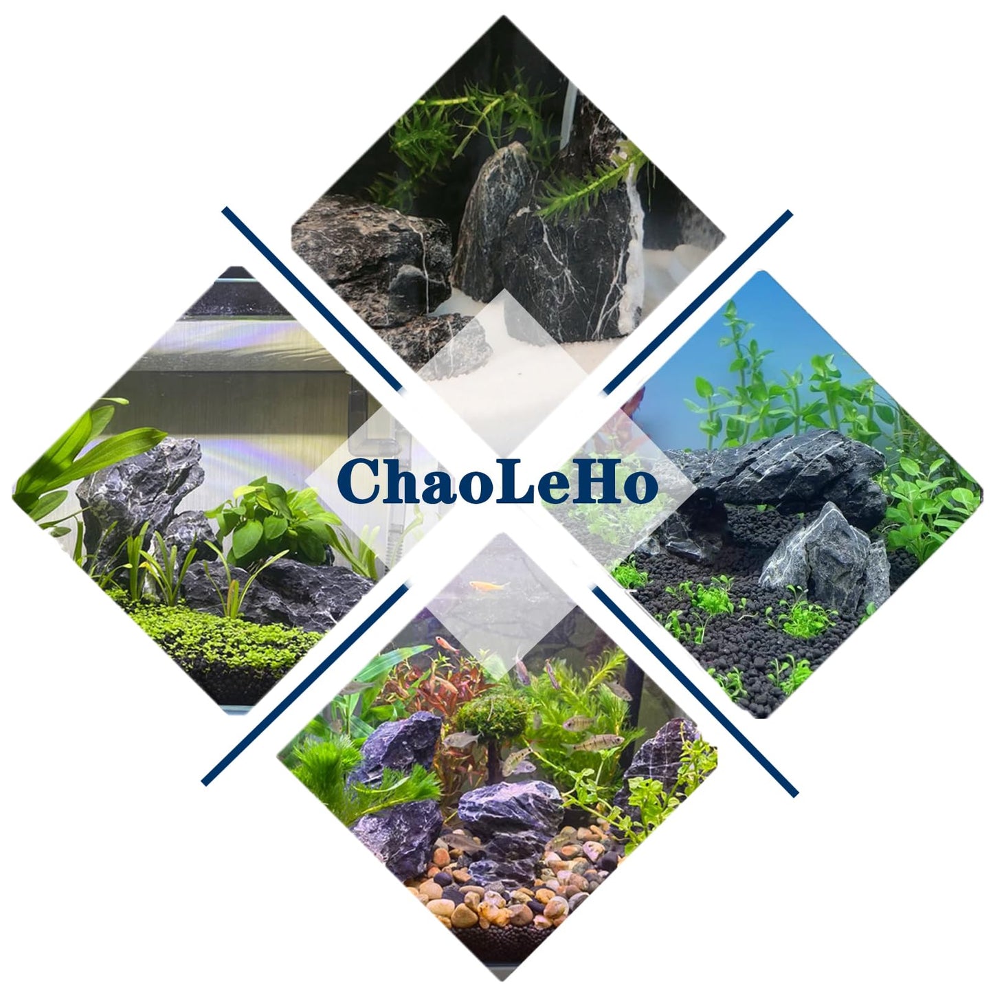 ChaoLeHo Natural Rocks Seiryu Stones Aquariums Stones for Aquascaping, Aquariums, Terrariums, Vivariums Decorative Stone,Reptile Enclosures,Paludariums,and Gardens-10LB（2 to 7 inch）