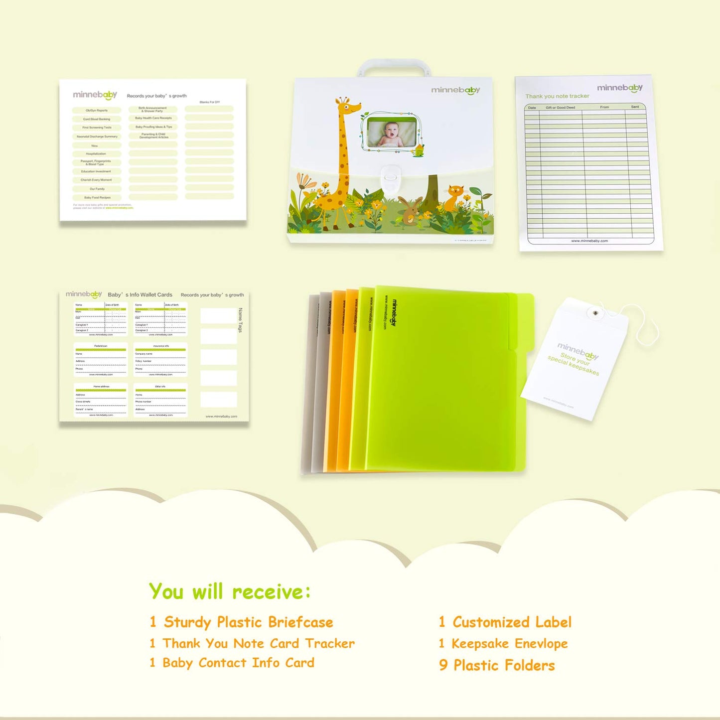 Baby Document Organizer, Briefcase With 12 Folders and 12 Monthly Memory Cards