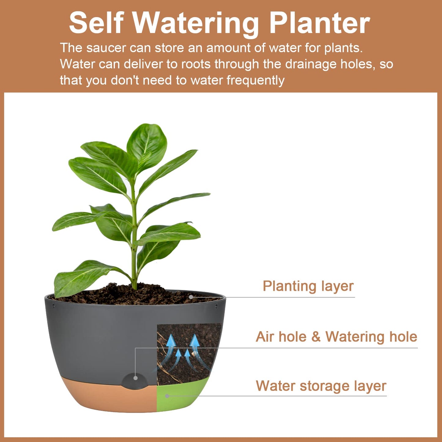2 Pack Hanging Planters for Indoor Plants, Self-Watering Hanging Planter Holder with Pot, Drainage Holes, Removable Saucer for Garden Home (Black, 10 Inches)