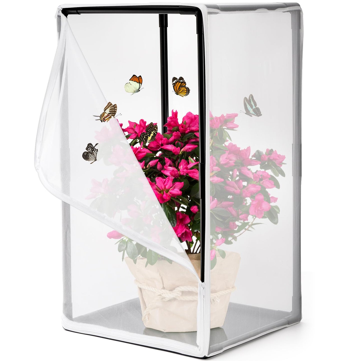 Kingrol Outdoor Insect & Butterfly Habitat Cage - Mesh Plant Enclosure for Pest/Bird Protection, Ideal for Breeding Butterflies, Soldier Flies, Ladybugs - 16.5 x 16.5 x 31 Inch