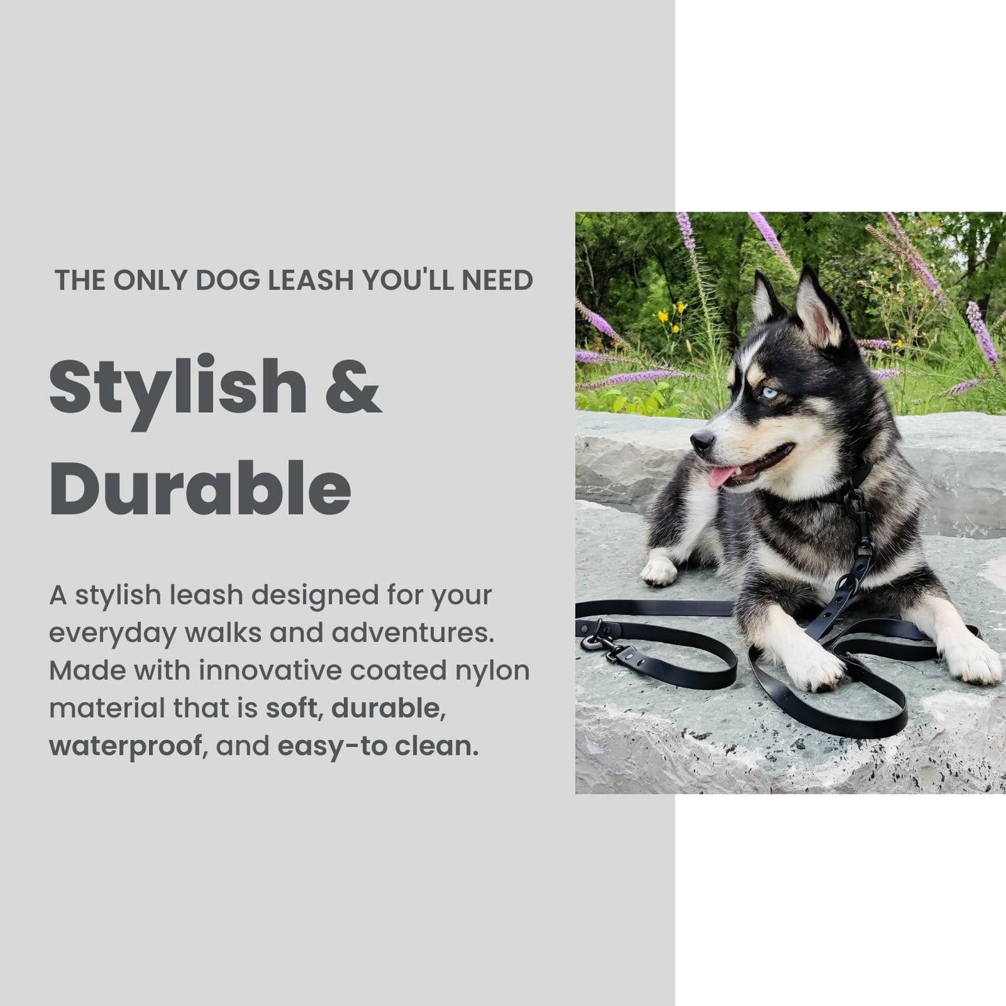 WOOFELITE Hands-Free Adjustable Waterproof Dog Leash 7 FT / 8 FT (Black, 8 FT)