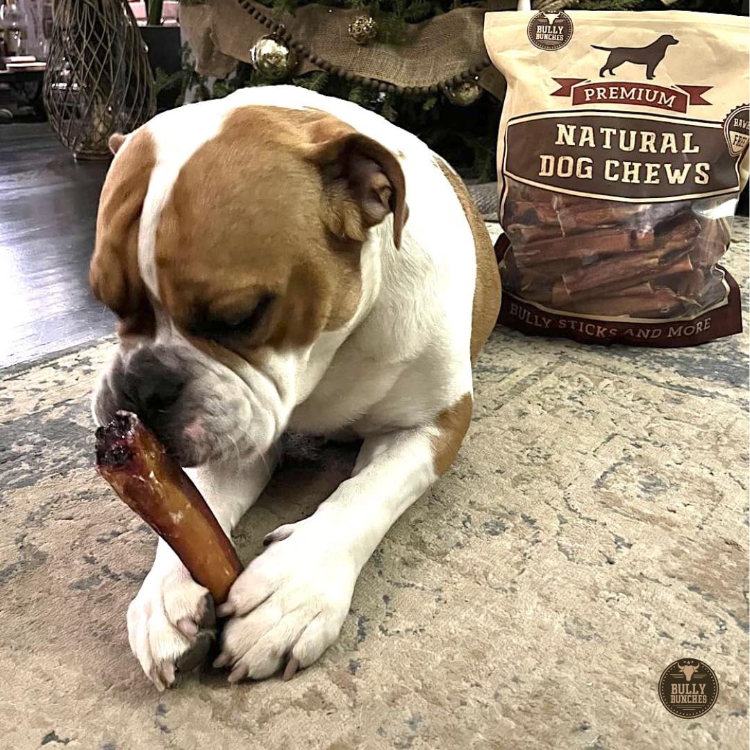 Bully Bunches Premium 6 Inch Monster Odour-Free Bully Sticks for Medium & Large Dogs - Long Lasting Chew Bones - All Natural & Single Ingredient, 100% Beef Dog Treat, Rawhide Alternative (8 Pk)
