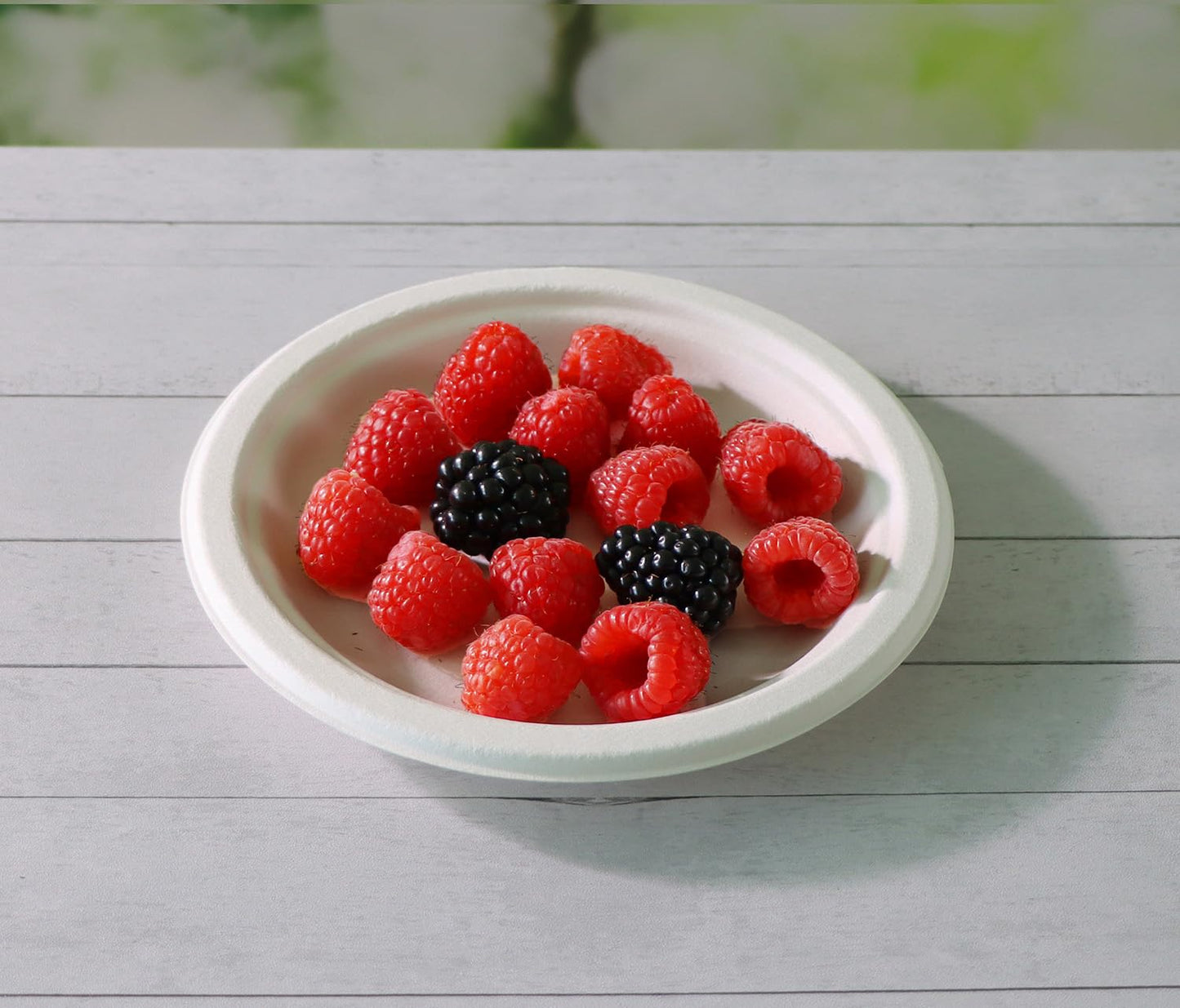 CantaGreen 200 Count Heavy Duty Compostable Paper plates, Biodegradable Bagasse and Bamboo Fiber Plate