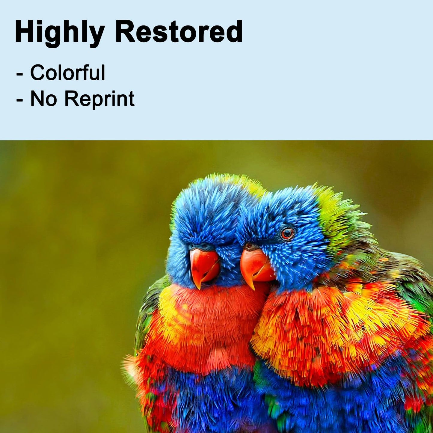 63XL 63 Ink Cartridge Combo Pack-High Yield Replacement for HP Ink 63 63XL Ink Cartridges for Printers Deskjet 1112 2130 2132 Officejet 3830 4650 4655 Envy 4520 4522 4520 Printer(1Black/1Tri-color)