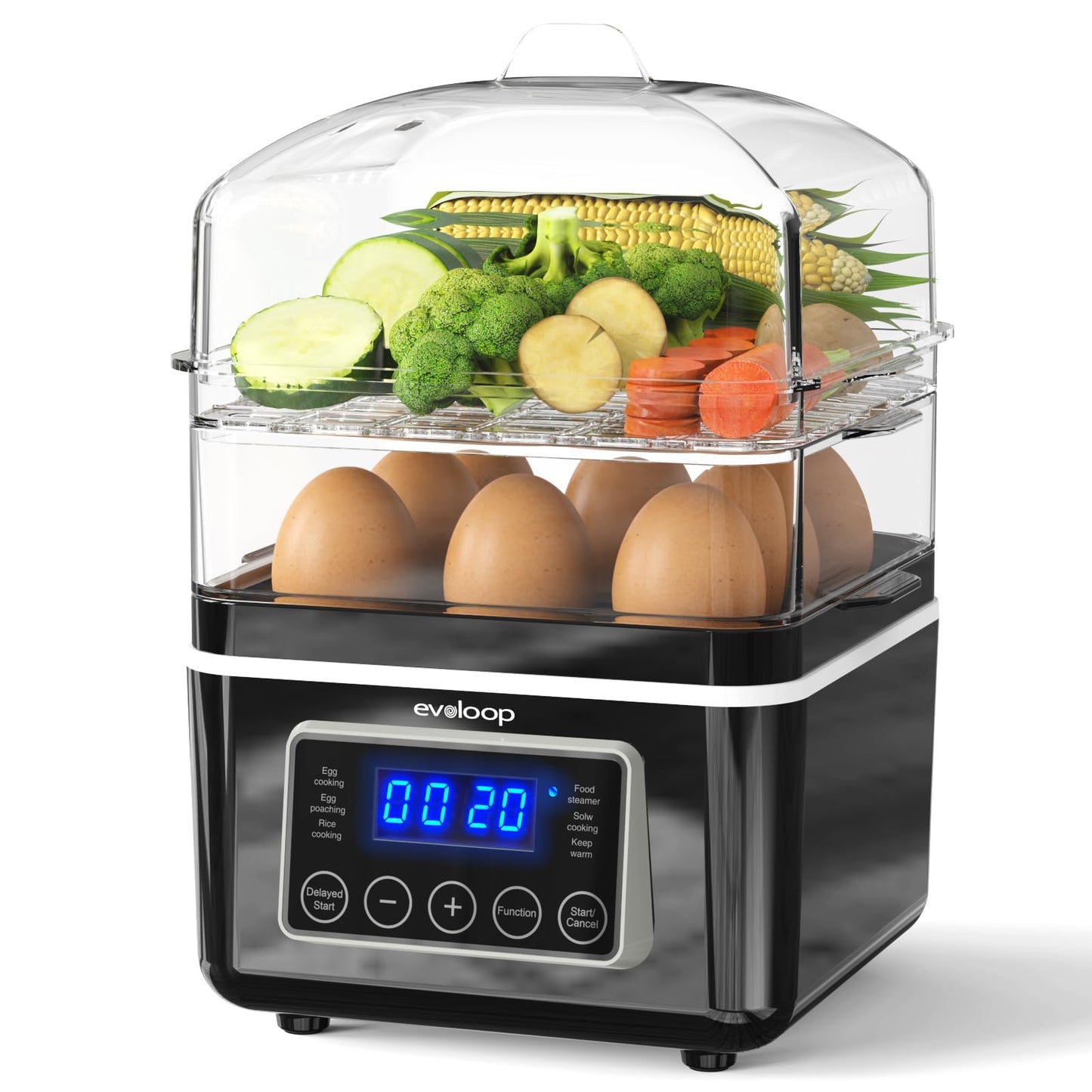 2 Tiers Mini Electric Food Steamer for Cooking, 4 QT Digital Multi Vegetable Steamer with BPA-Free Stackable Baskets, Rapid Egg Cooker Egg Steamer with Auto Shut-Off, Ideal for Veggies, Seafood, Rice