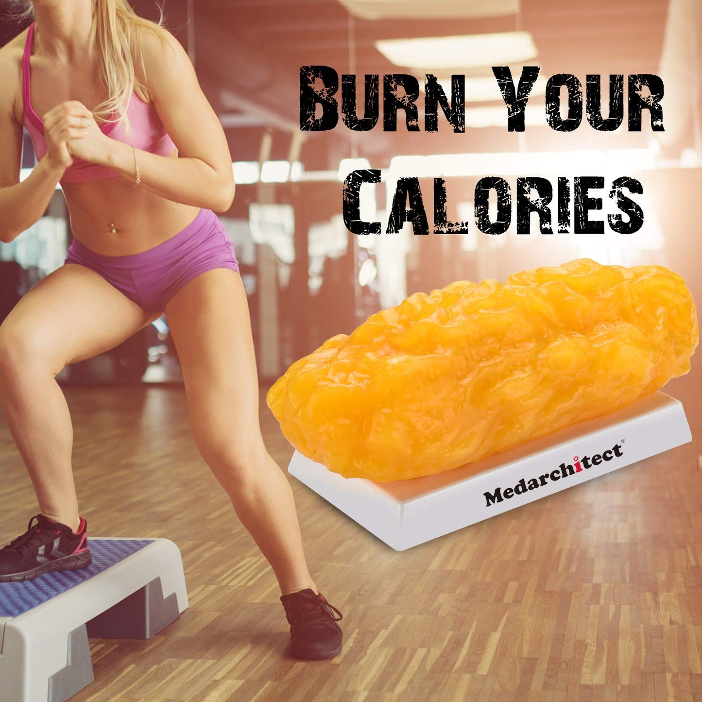 Authentic Human Body Fat Replica, Keep Fit & Weight Loss Motivation & Reminder, Human Fatty Tissue Demonstration Model for Nutritionist, Anatomical Science Course for Medical Student (5 lb)