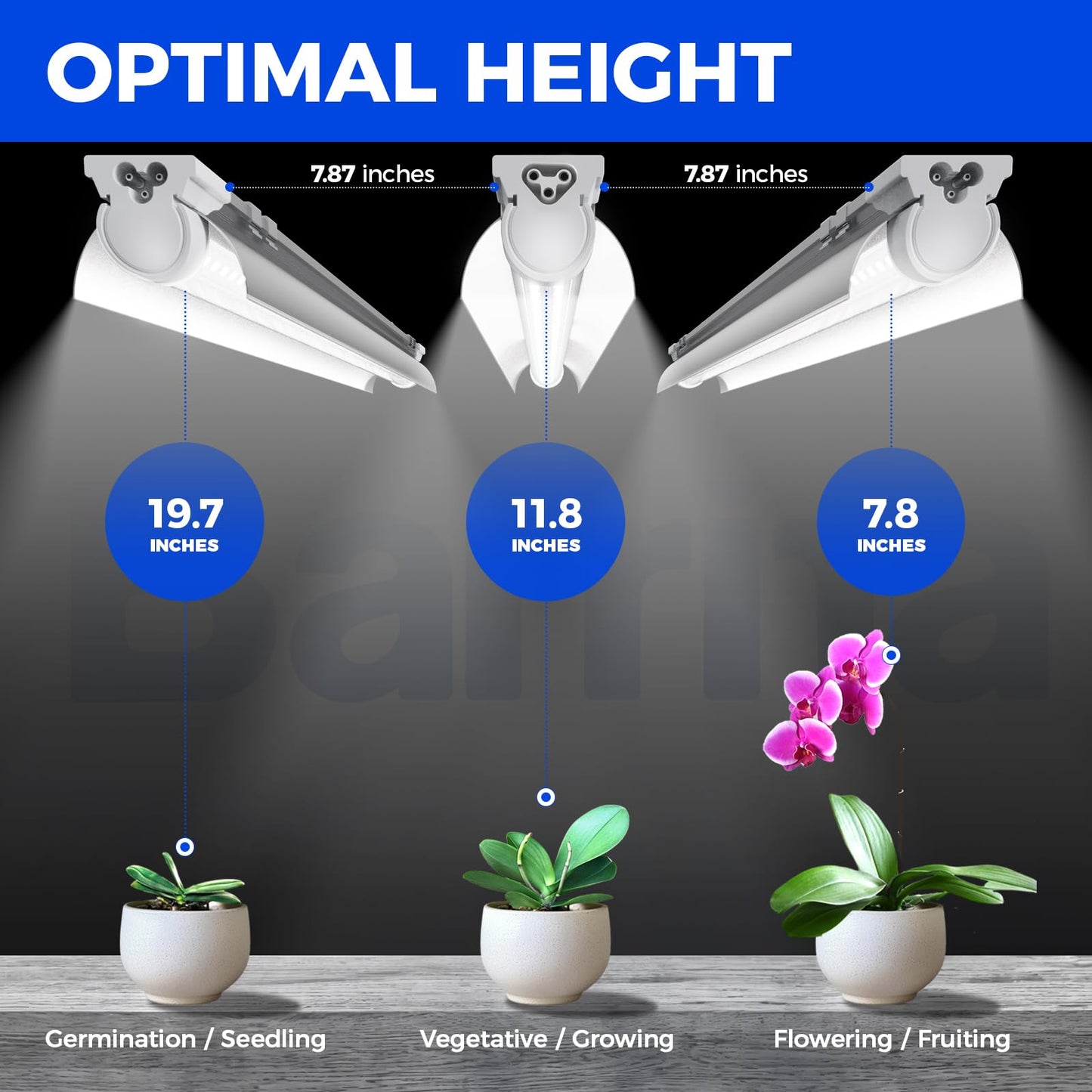 Barrina T8 Grow Lights for Indoor Plants, 5000K White Full Spectrum Grow Light Strip, 60W(4 x 15W), 1FT Plant Light for Greenhouse Indoor Growing, V-Shape with Reflector, Linkable, 4 Packs