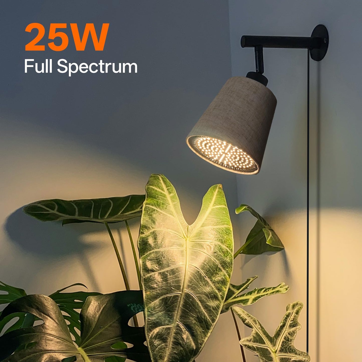 Bstrip Hanging Grow Lights for Indoor Plants, 25W Full Spectrum, 4H/9H/14H Timer, 3000K Wall-Mounted Decorative Plant Light with 9.8FT Power Cord, Ideal for Tall Plants, Flowers and Potted Trees